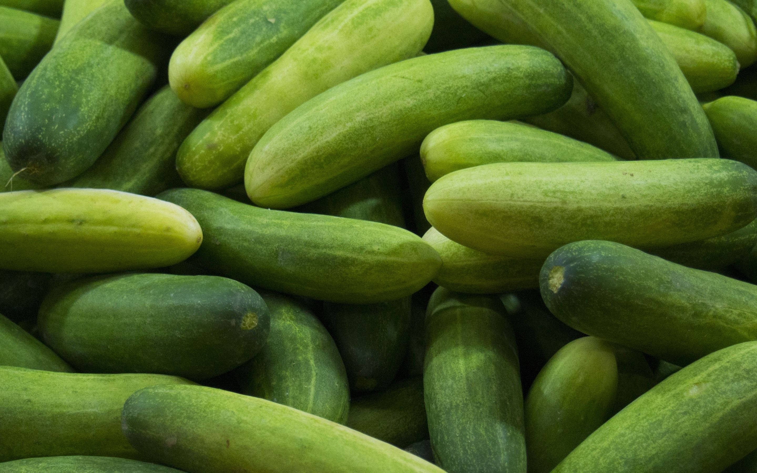 Vegetables 桌布 壁紙 — 新鮮青瓜堆疊在一起的特寫，顯示其光滑的皮膚和自然紋理。