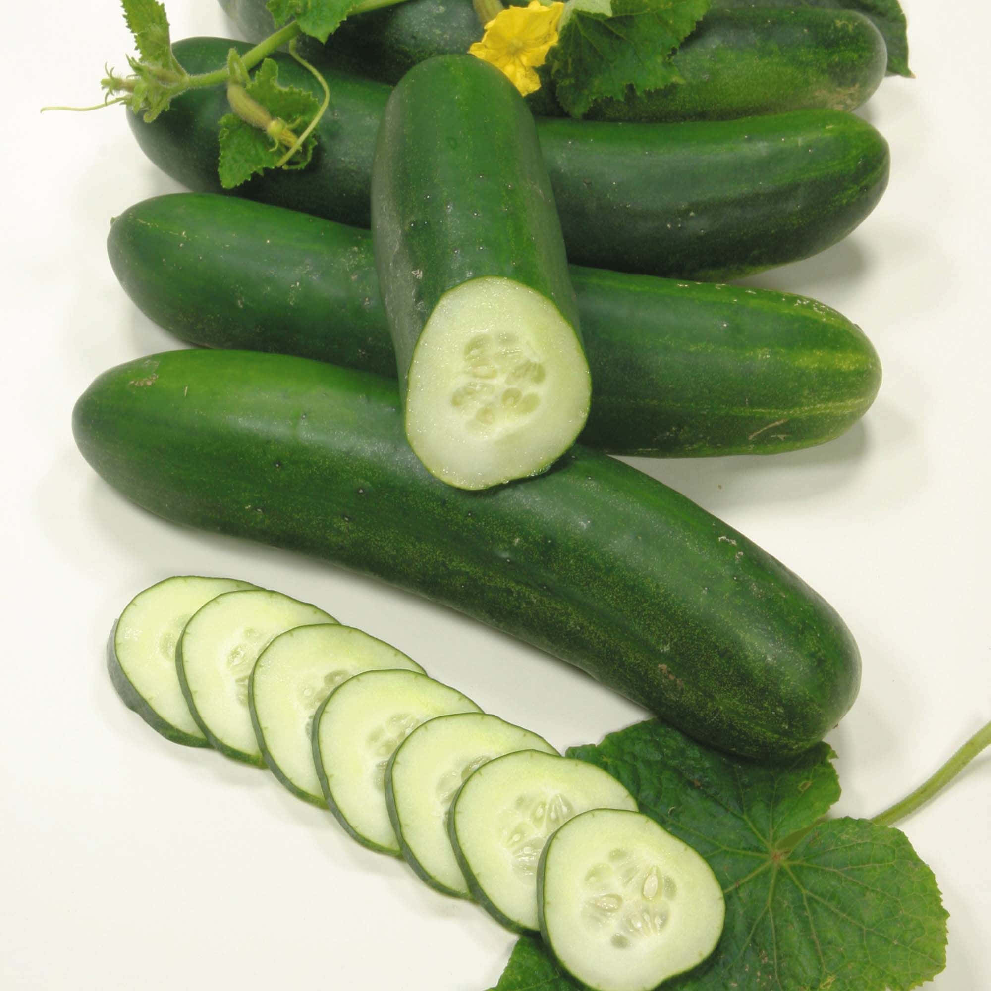 cucumber 桌布 壁紙 — 新鮮青瓜完整及切片，配以葉子和黃花，置於白色背景上。