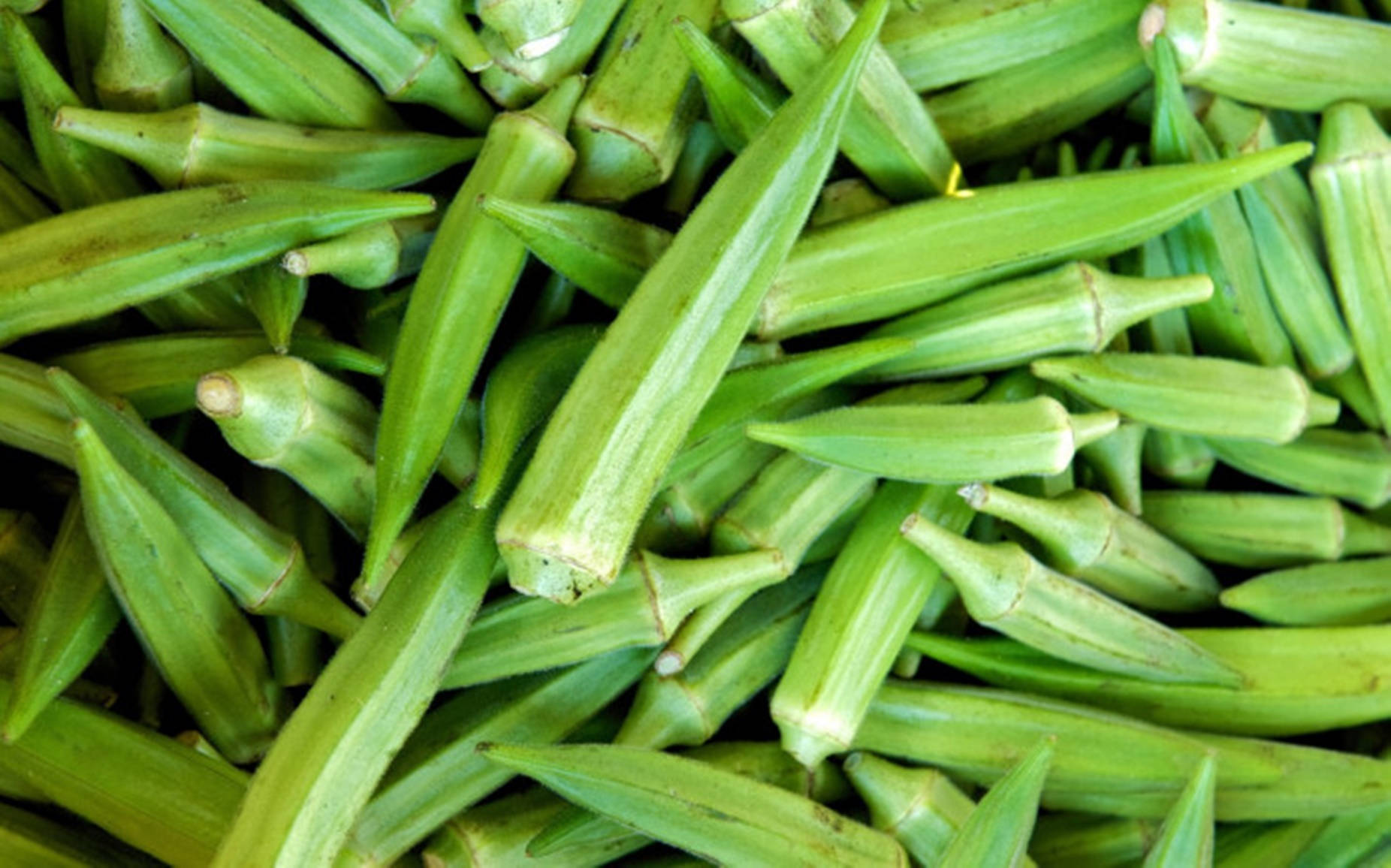 Vegetables 桌布 壁紙 — 新鮮青秋葵莢堆疊在一起的鮮明特寫，顯示其紋理脊和尖頭。