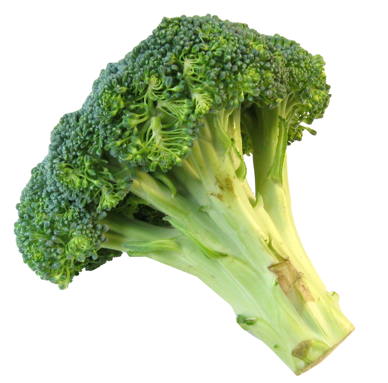 新鮮青花菜梗 壁紙