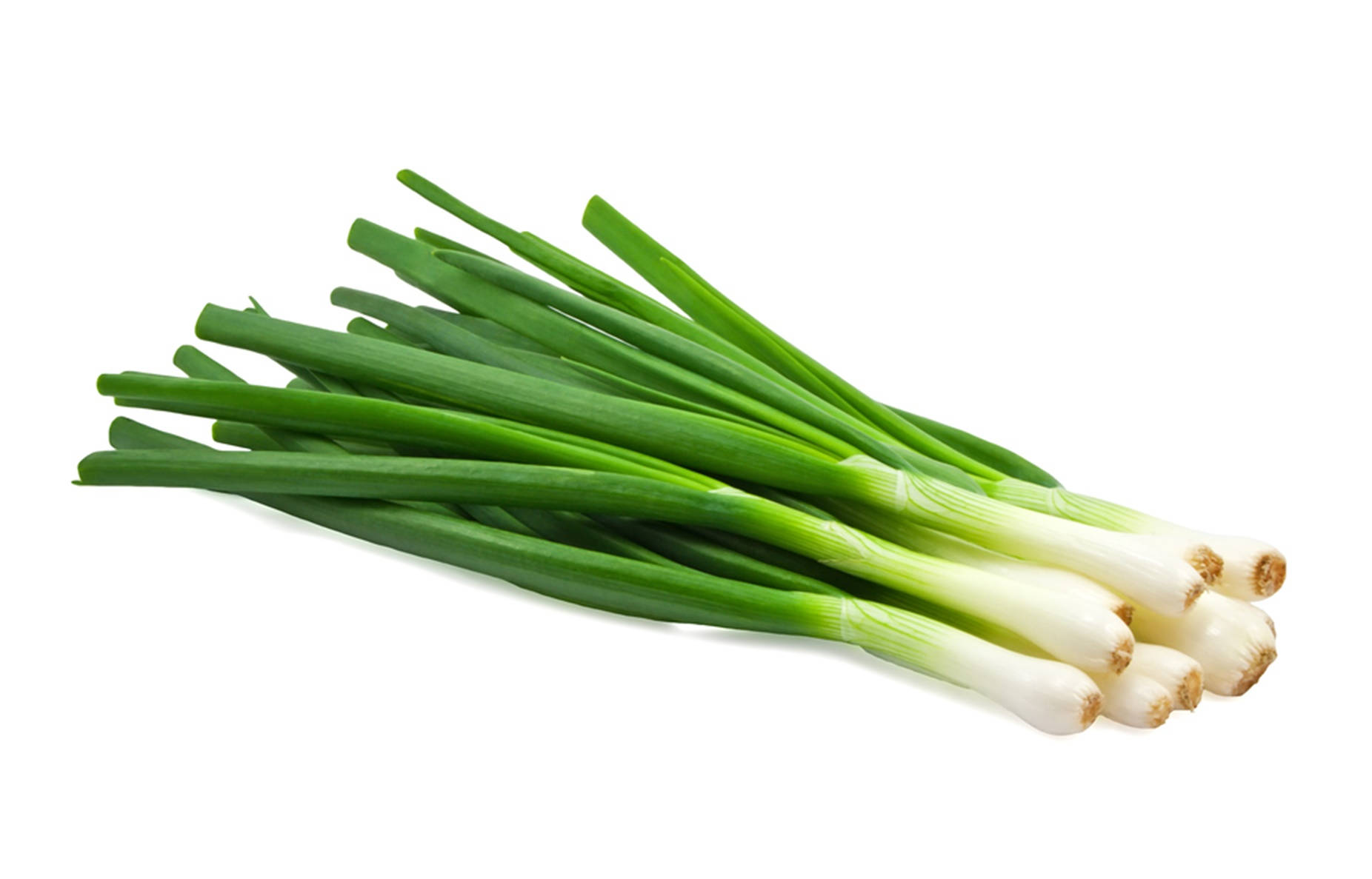 Healthy Food 桌布 壁紙 — 新鮮青蔥，白色蔥頭爽脆，綠色蔥莖鮮豔，以對角線排列在潔白背景上。