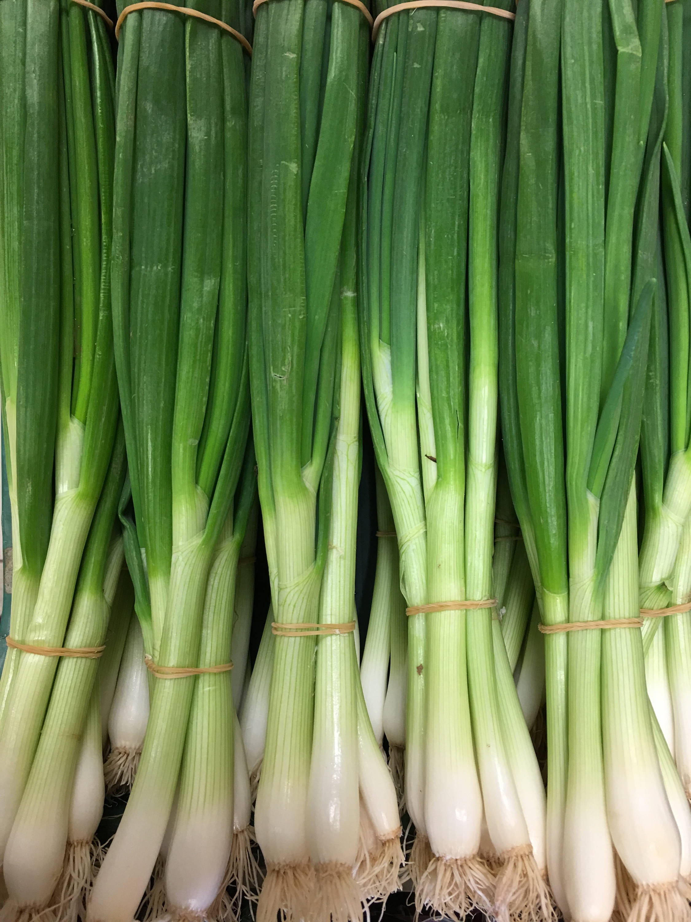 Onion 桌布 壁紙 — 新鮮青蔥用麻繩緊緊捆紮，展現出鮮綠的蔥頂和爽脆的白色蔥莖。
