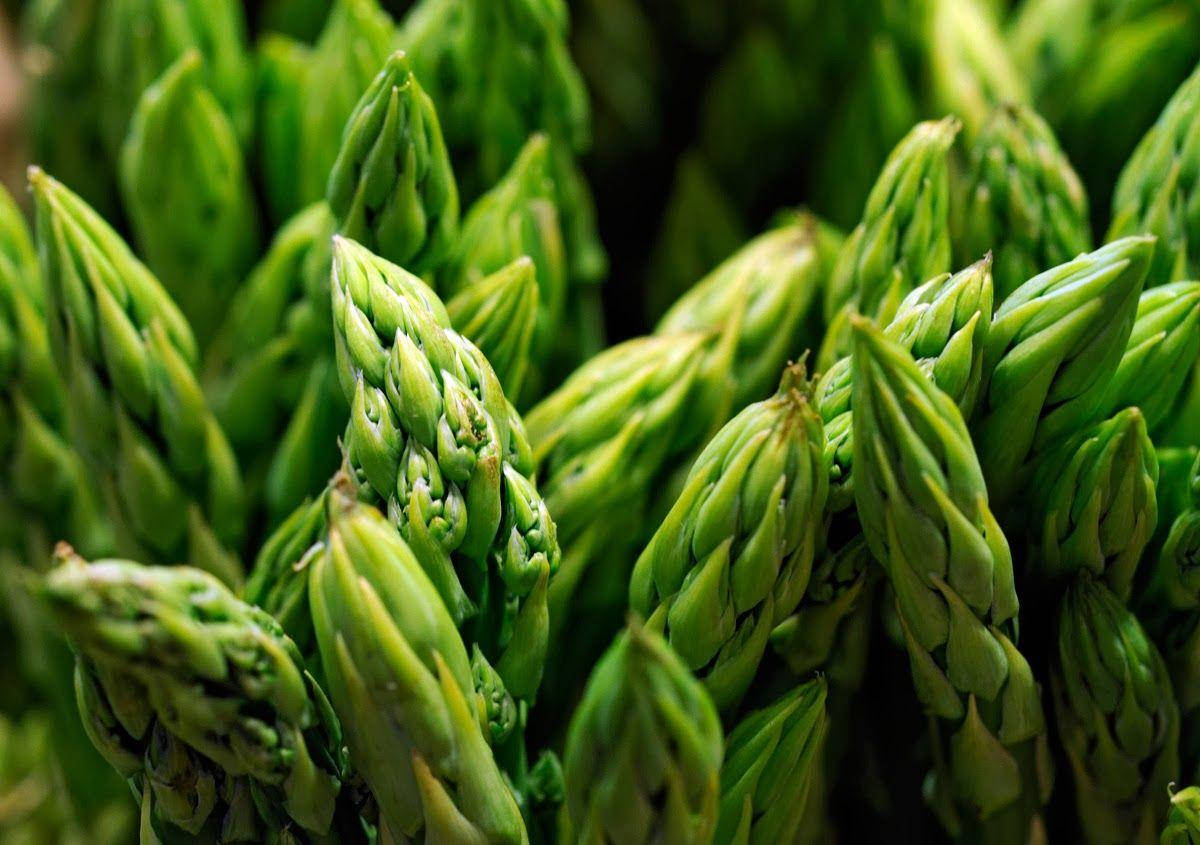 Healthy Food 桌布 壁紙 — 新鮮青蘆筍的微距特寫，帶有紋理的尖端和柔和陰影。