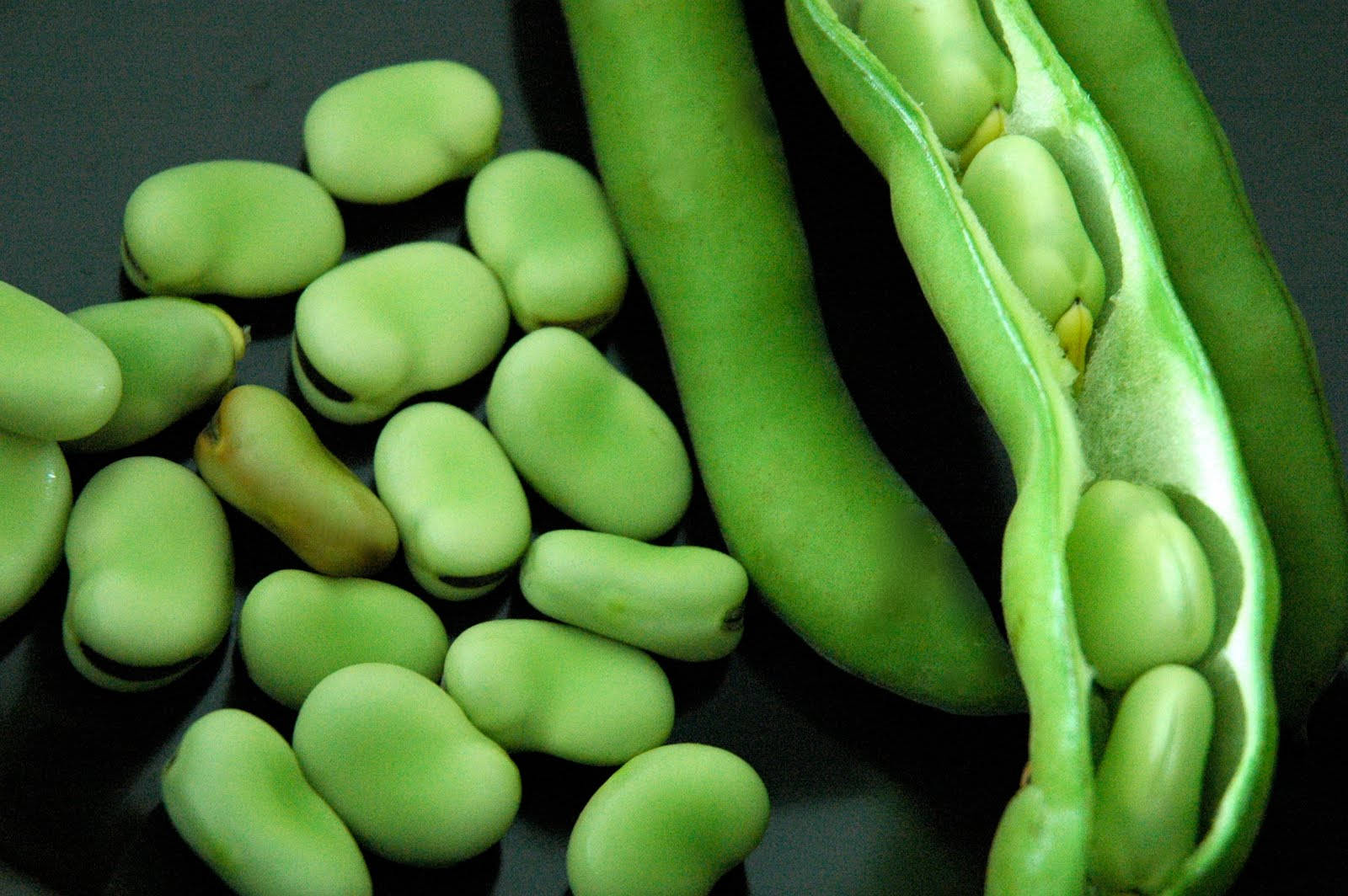 beans 桌布 壁紙 — 新鮮青蠶豆從豆莢中灑落在深色表面上，特寫靜物。