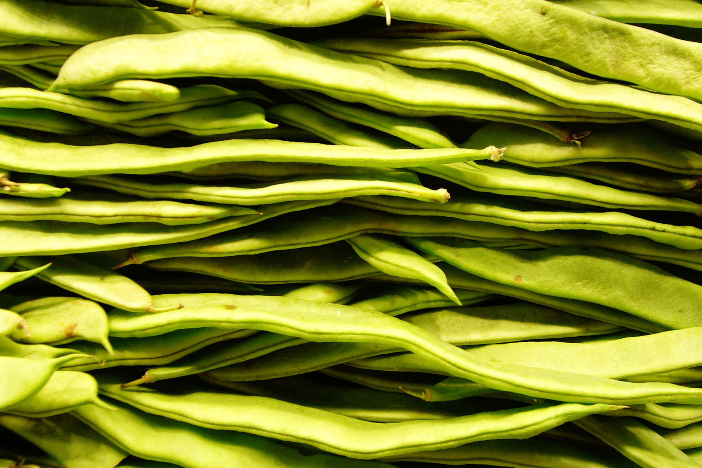 beans 桌布 壁紙 — 新鮮青豆重疊排列的特寫，顯示自然紋理和細微顏色變化。