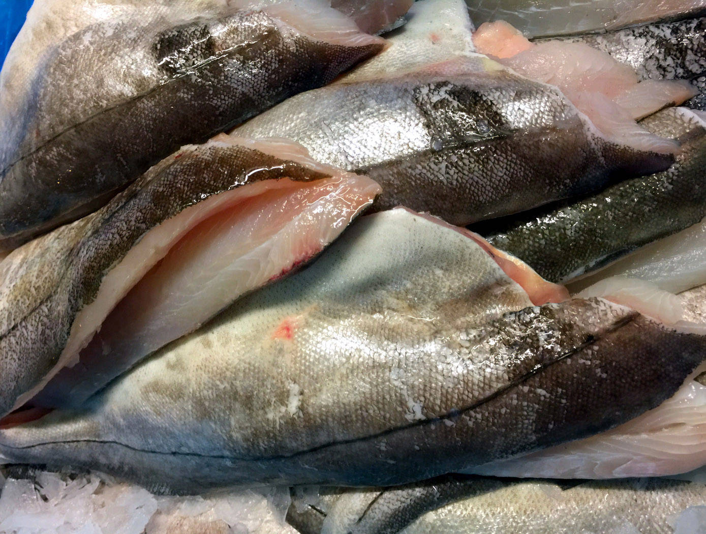 魚 桌布 壁紙 — 新鮮魚片帶有閃亮銀鱗和粉紅肉質，放在市場攤位的碎冰上。