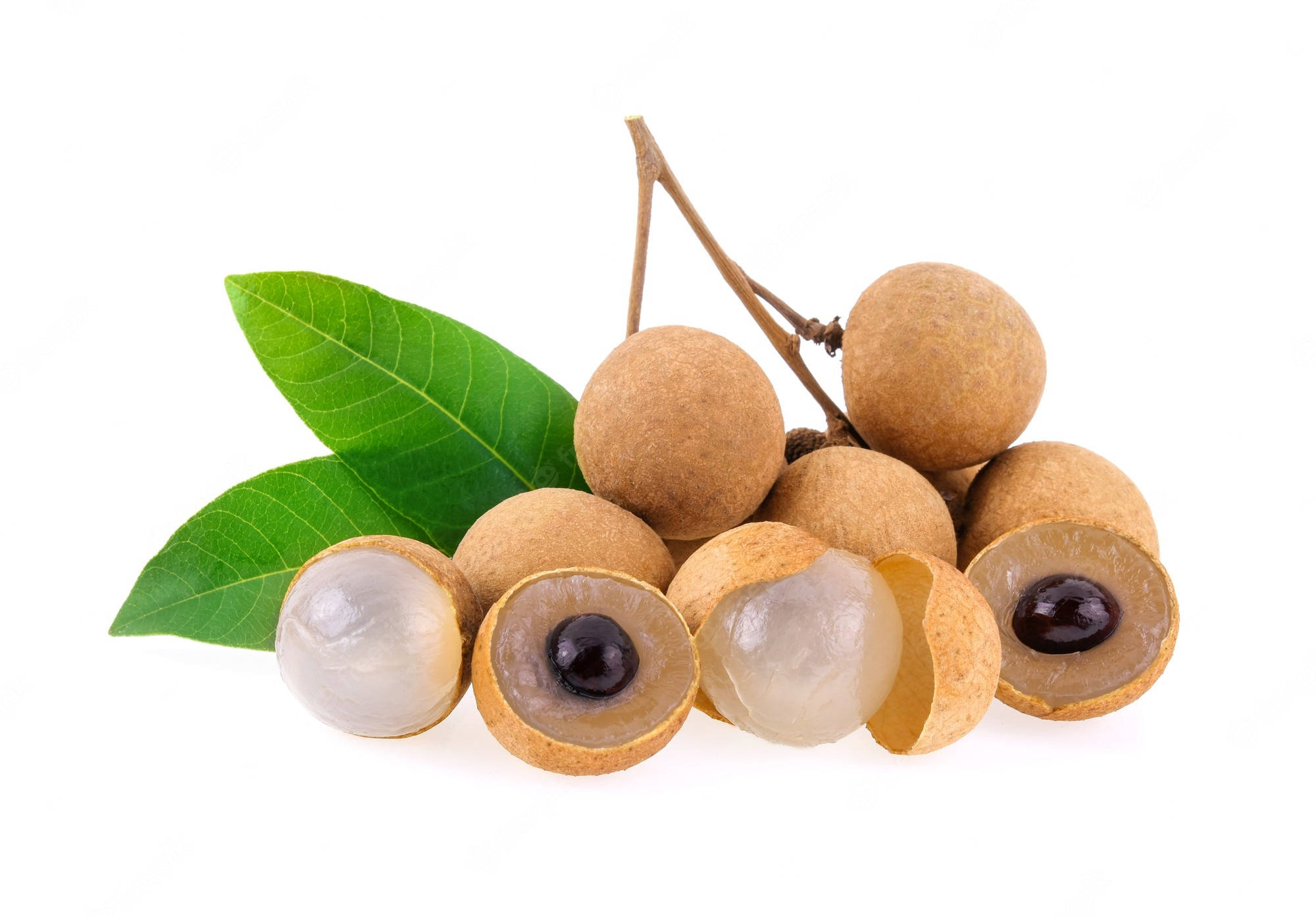 Fruits 桌布 壁紙 — 新鮮龍眼果實，帶有半透明白色果肉和深色種子，簇生在帶有鮮綠色葉子的樹枝上，背景為純白色。