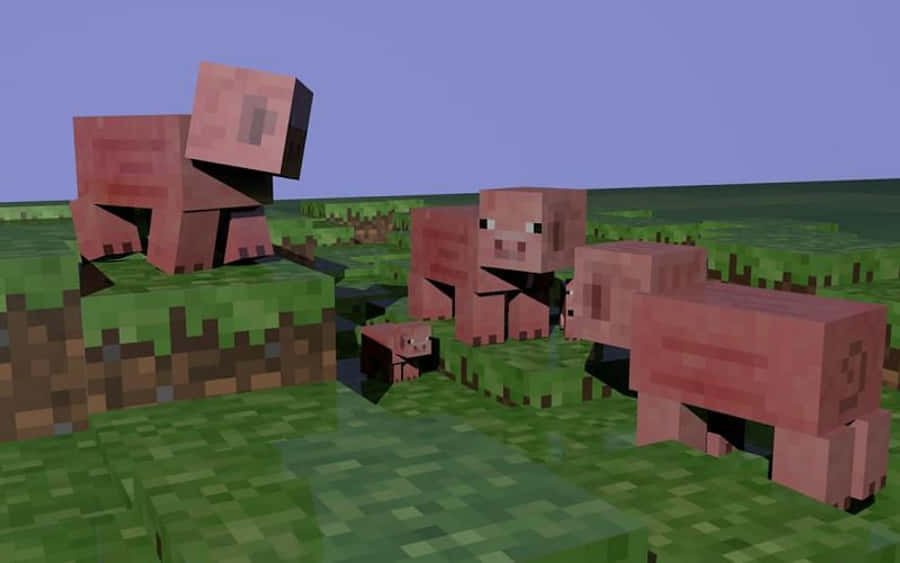 Minecraft Pig 桌布 壁紙 — 方塊狀的粉紅色豬隻站在像素化草地上，處於Minecraft風格的開闊田野中，天空樸素。