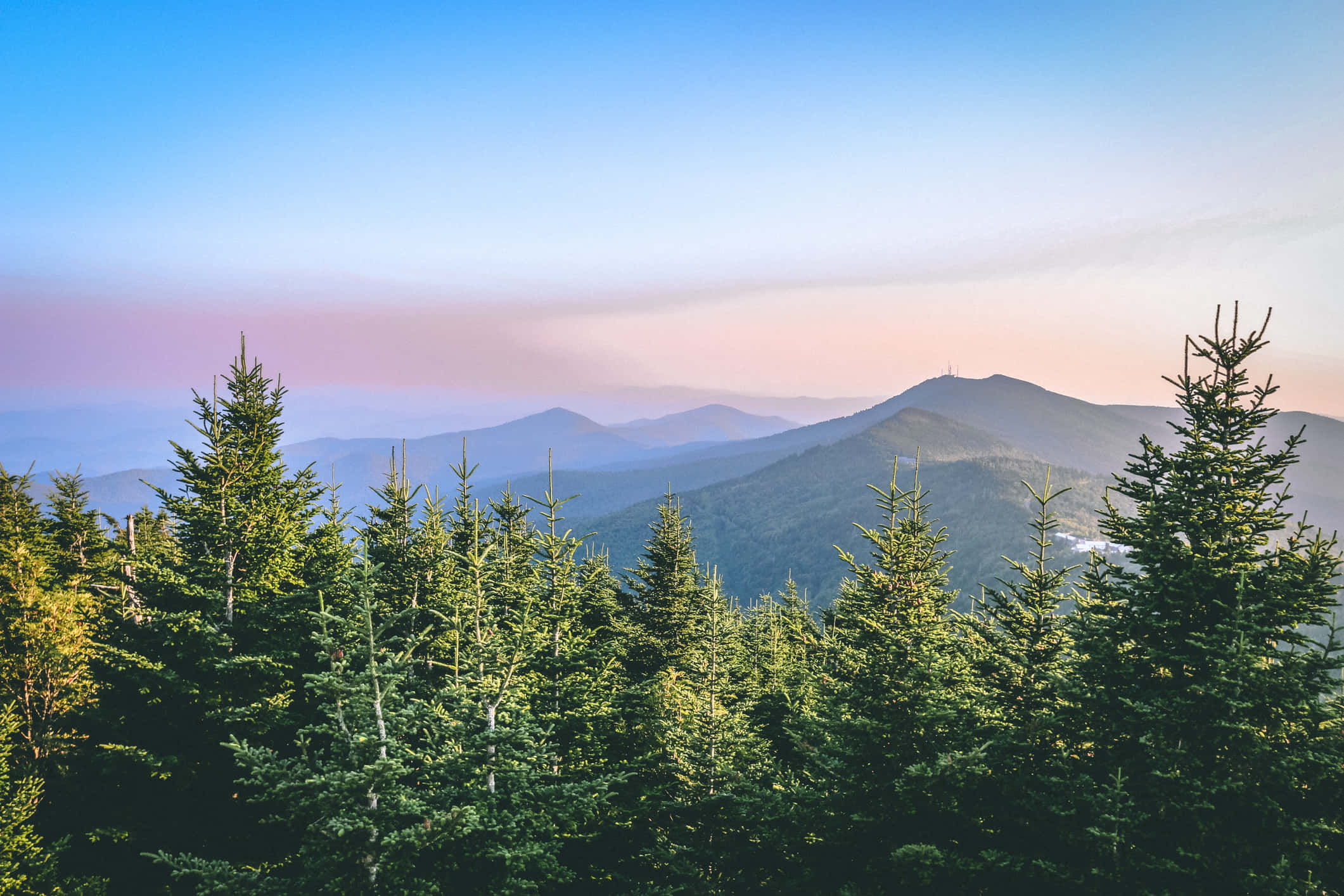 Mountain View 桌布 壁紙 — 日出在前景常綠樹的襯托下，為遠處的山脊塗上柔和的粉紅色和藍色調。