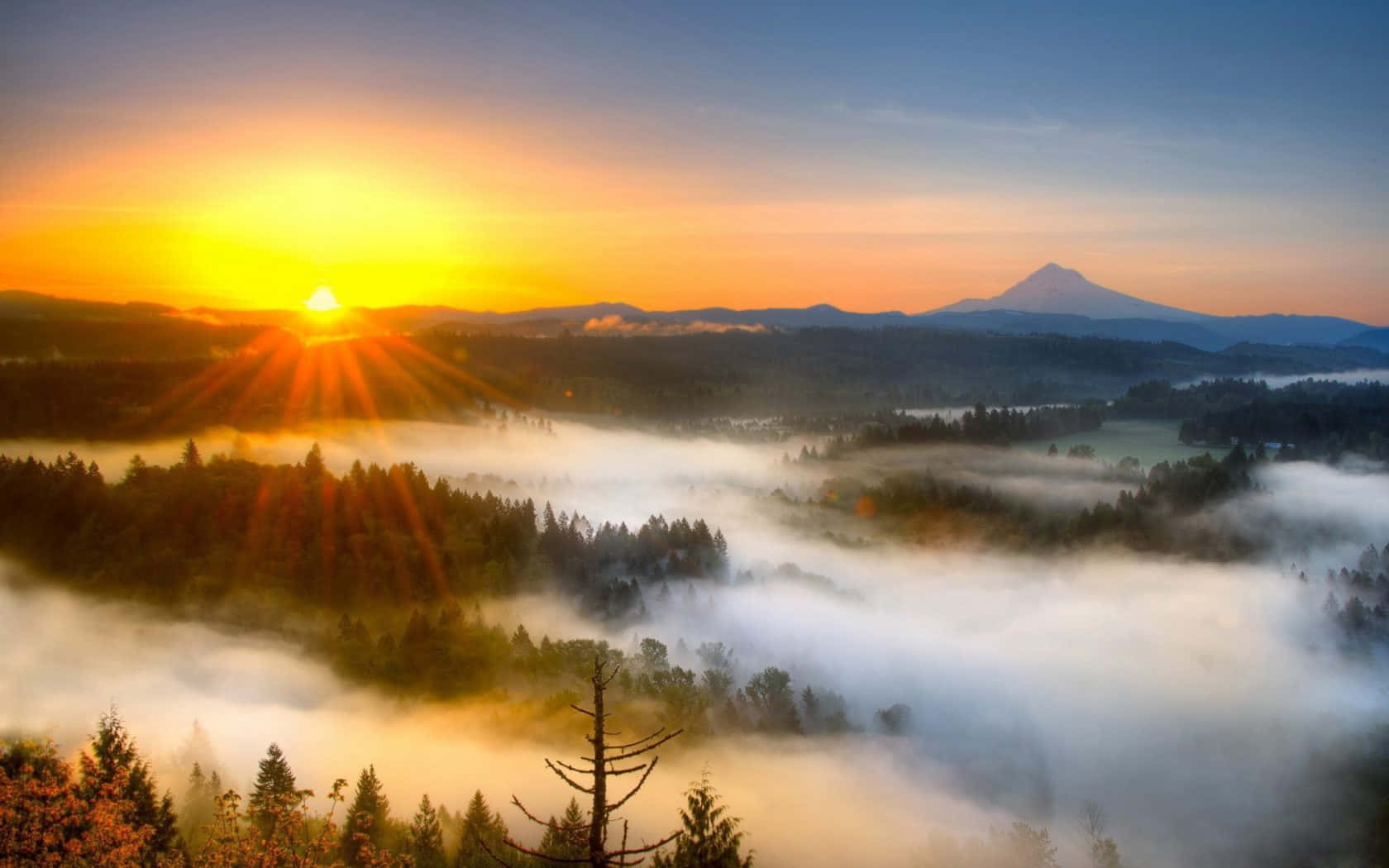 Fog 桌布 壁紙 — 日出在寧靜的山谷中為霧氣籠罩的森林和遠山塗上一層金色光輝。