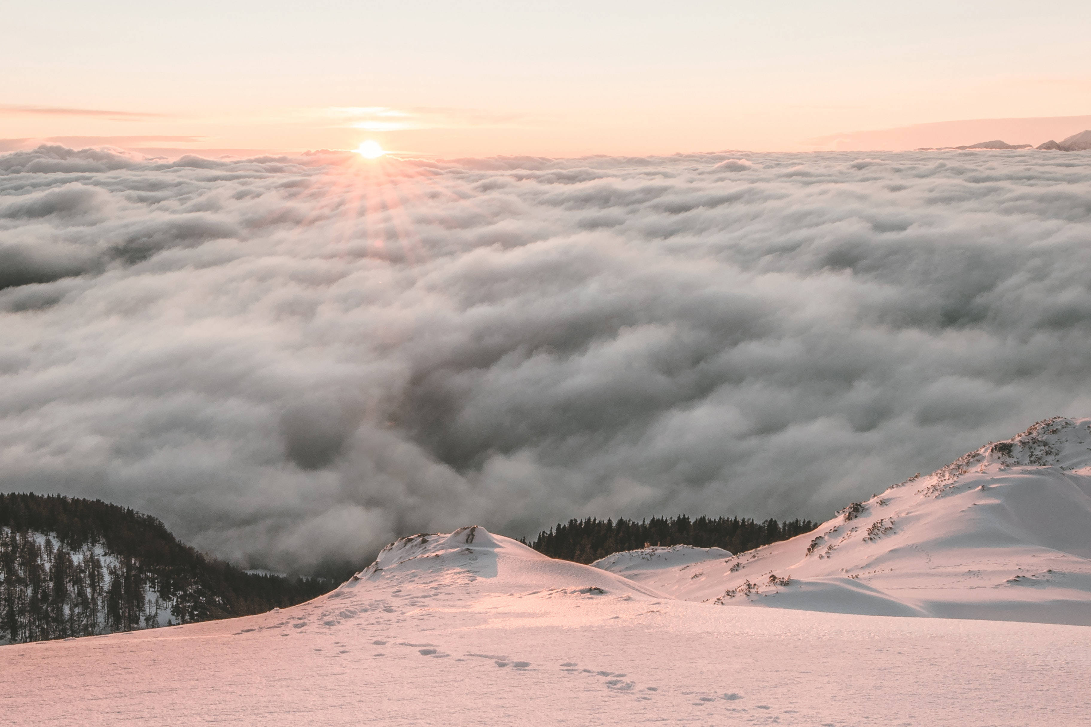 酷寒冬季 桌布 壁紙 — 日出在雲海上閃耀，前景是積雪的山峰。