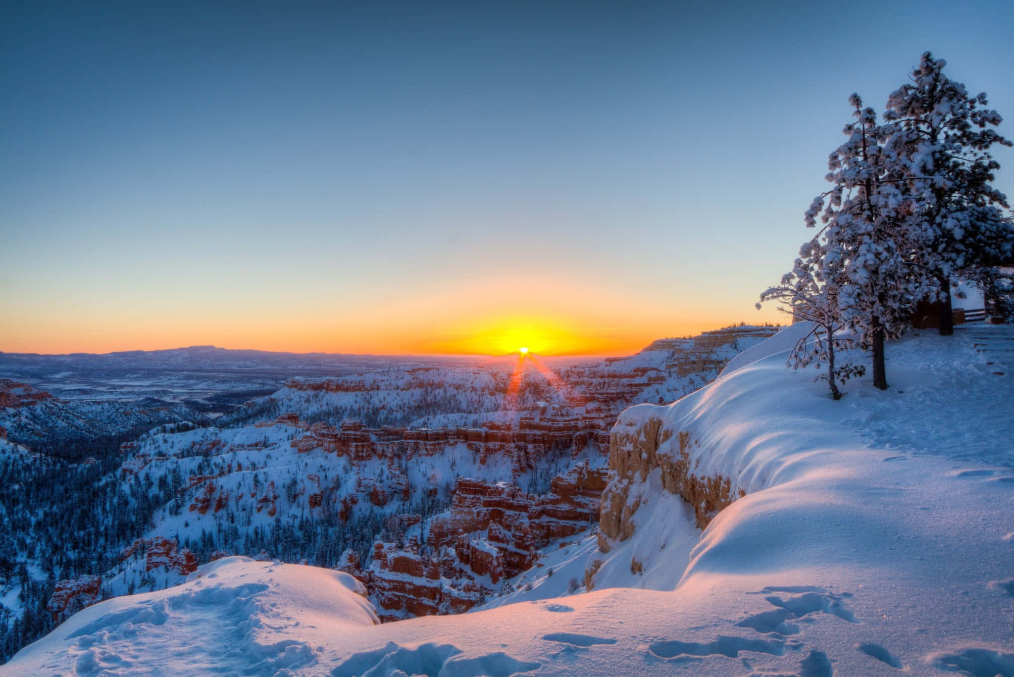 Utah 桌布 壁紙 — 日出將白雪覆蓋的峽谷染成溫暖的金色，白雪覆蓋懸崖和松樹，天空湛藍清澈。