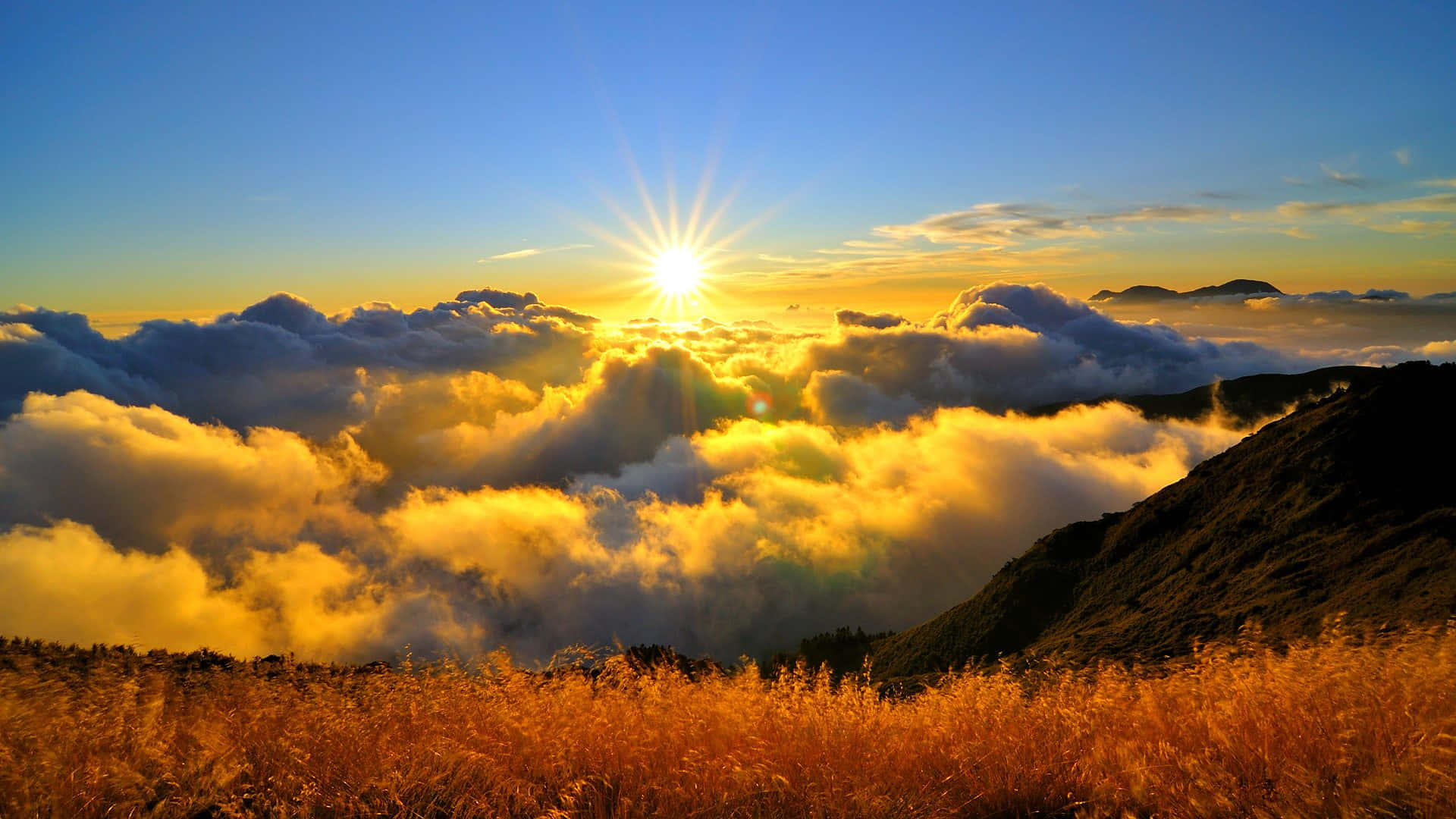山景 桌布 壁紙 — 日出時，陽光穿透金色雲層，照耀在長滿青草的山脊上。