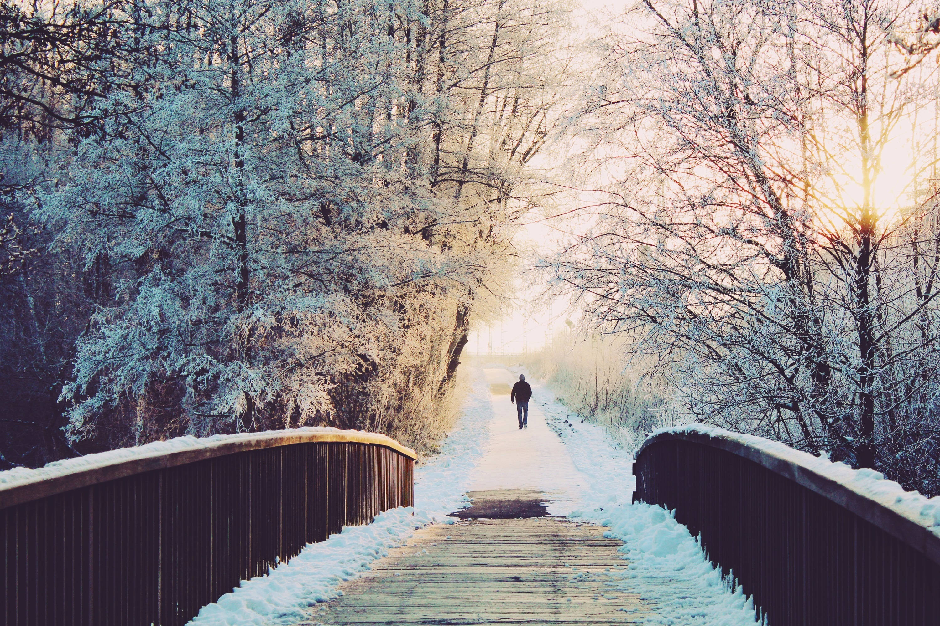 雪景 桌布 壁紙 — 日出時分，一個孤獨的身影走過白雪覆蓋的木橋，穿越霜凍的冬季森林。