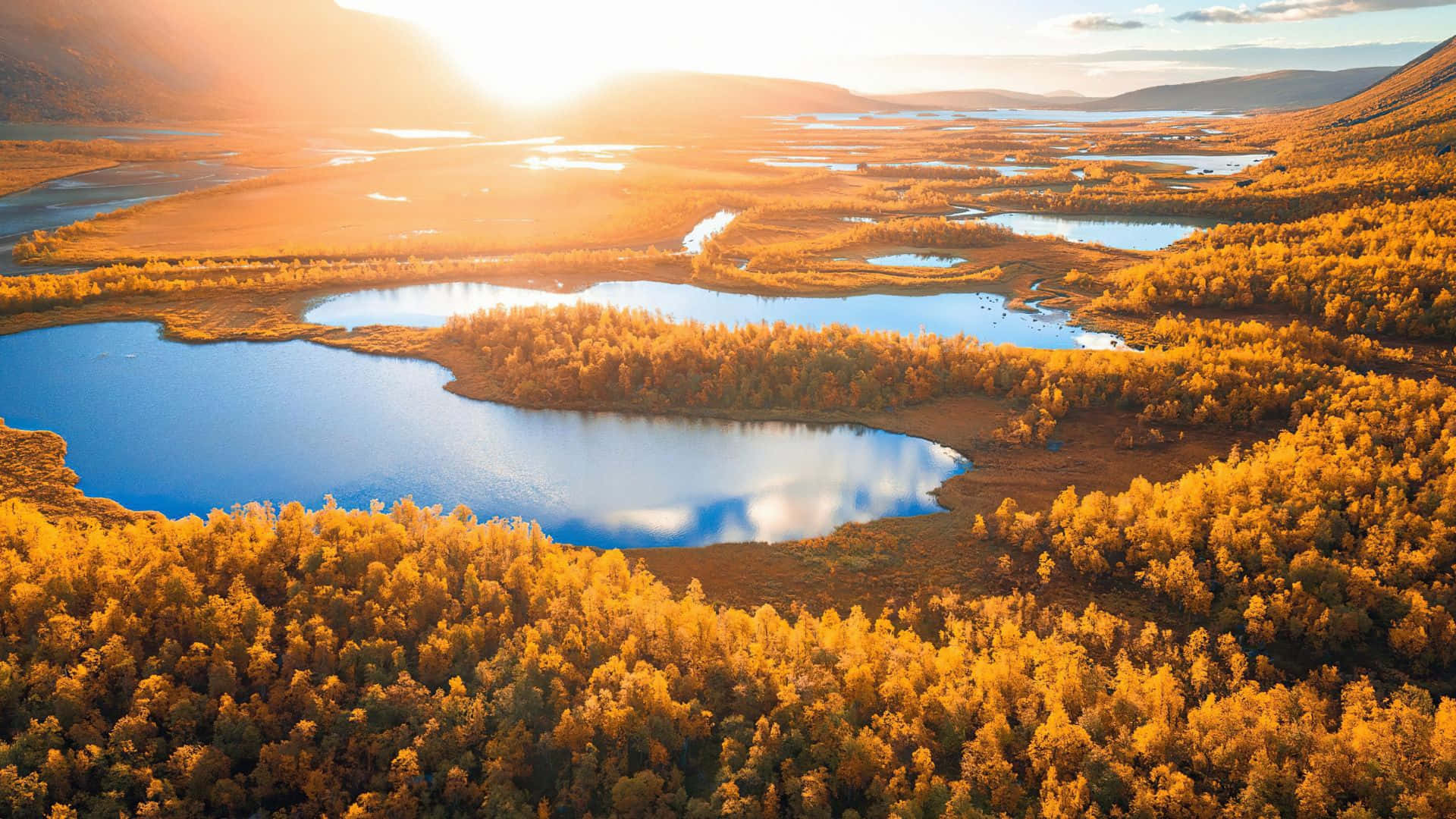 Fall Lake 桌布 壁紙 — 日出時分，金黃秋林環繞寧靜藍色湖泊的鳥瞰圖，溫暖光線投下長長的影子。