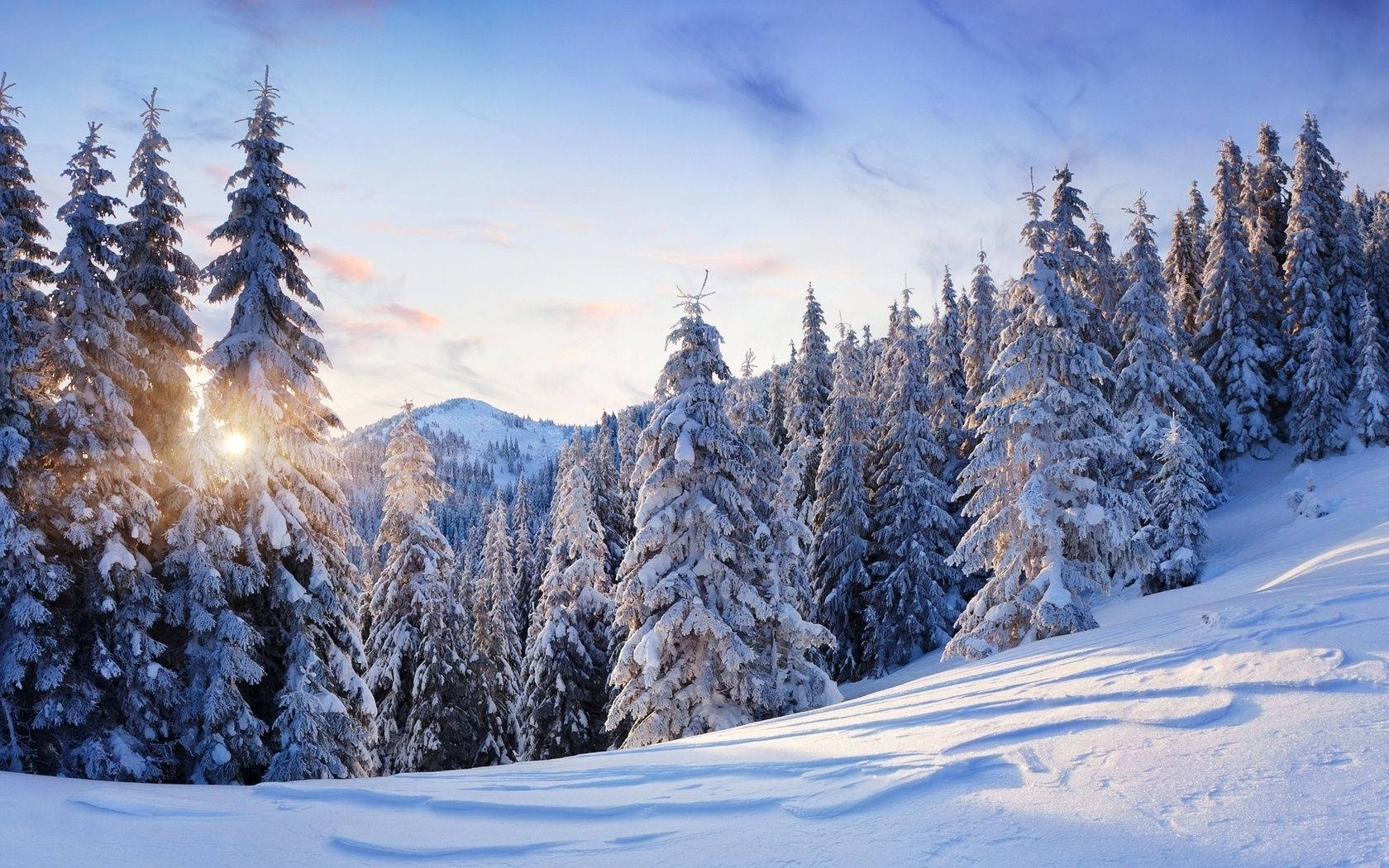 冬季 iPhone 壁紙 桌布 壁紙 — 日出時分，陽光穿過積雪的松樹，在寧靜的冬日山腰上閃爍。