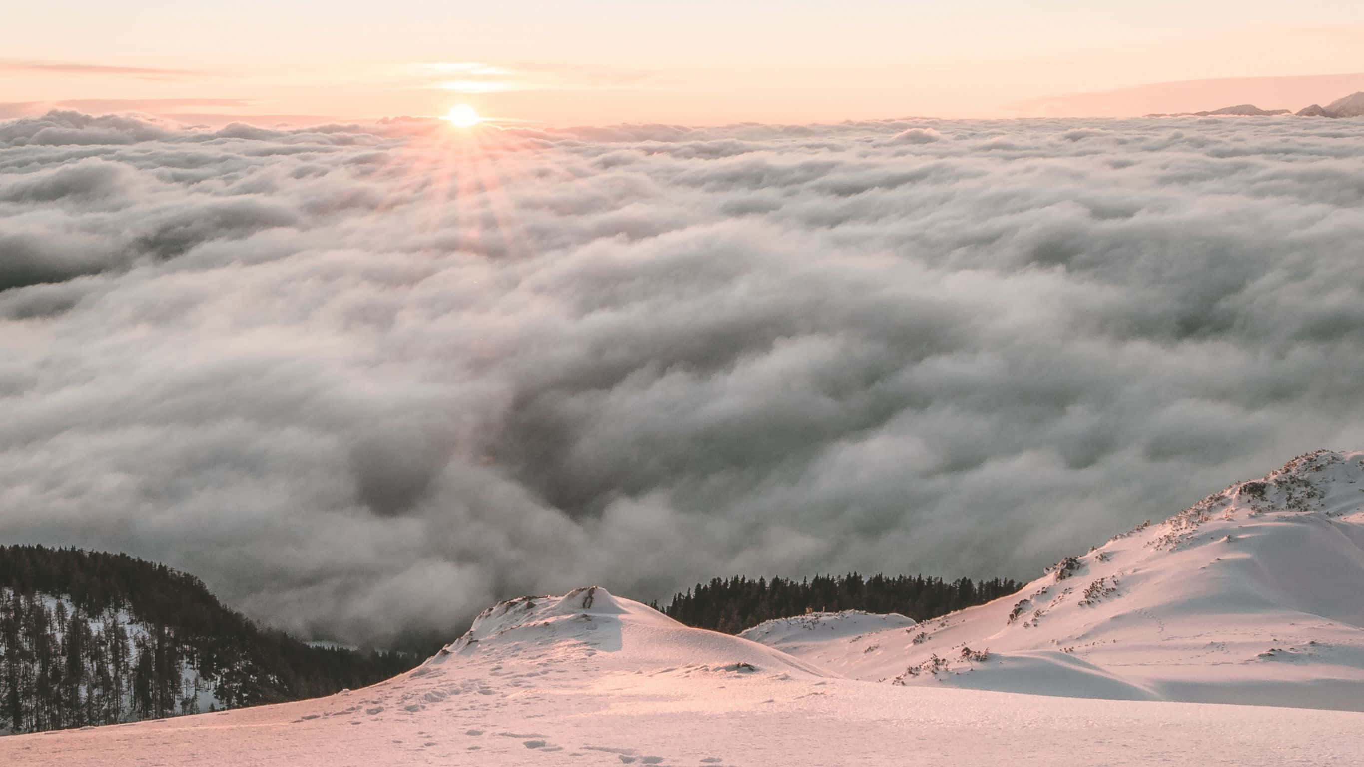 2732x1536 桌布 壁紙 — 日出照耀在白雪覆蓋的山峰上，山峰從雲海中升起，呈現寧靜的冬季山景。