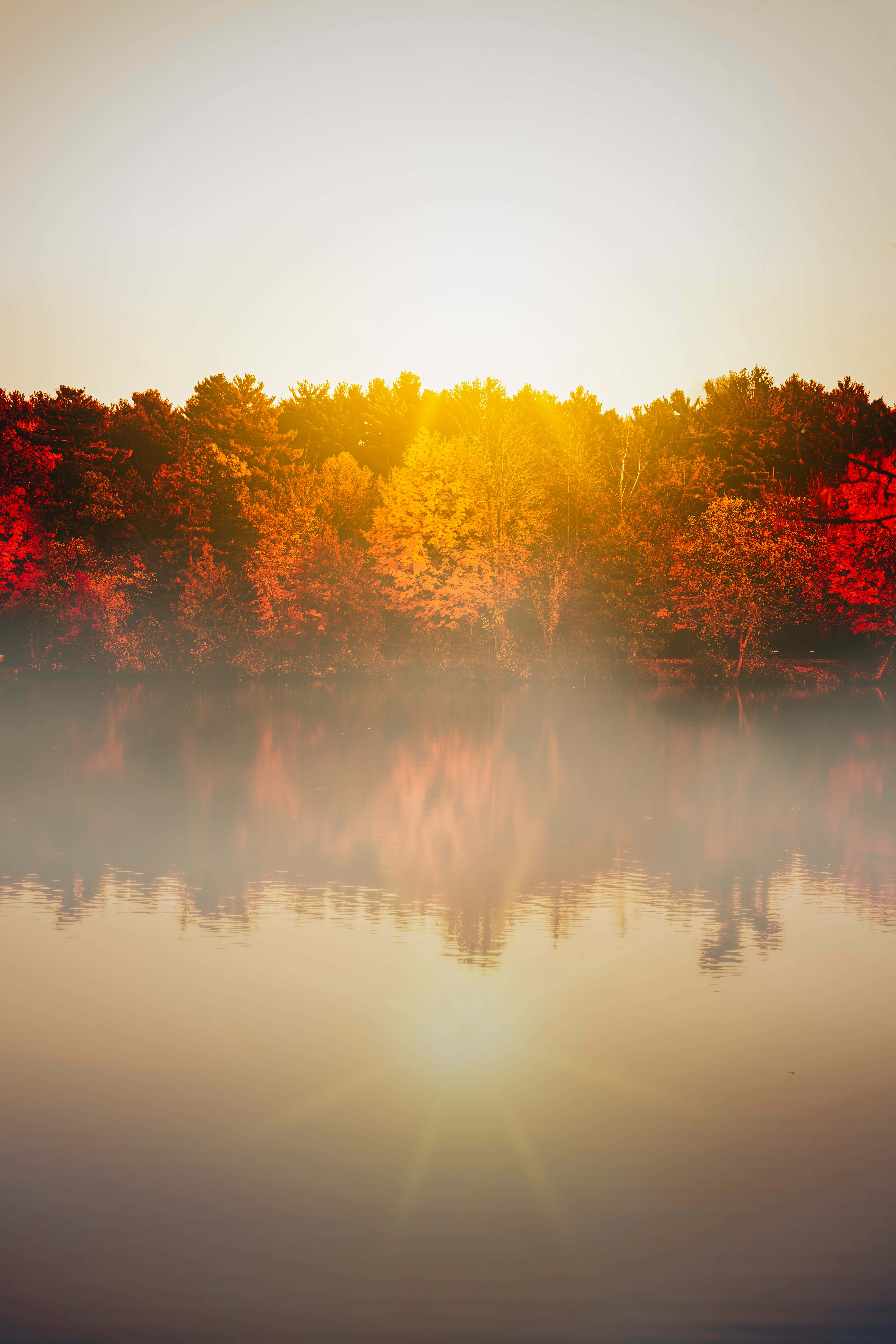 Fall Fog 桌布 壁紙 — 日出穿過秋樹，映照在霧氣瀰漫的湖水中，呈現鮮豔的紅色、橙色和金色色調。