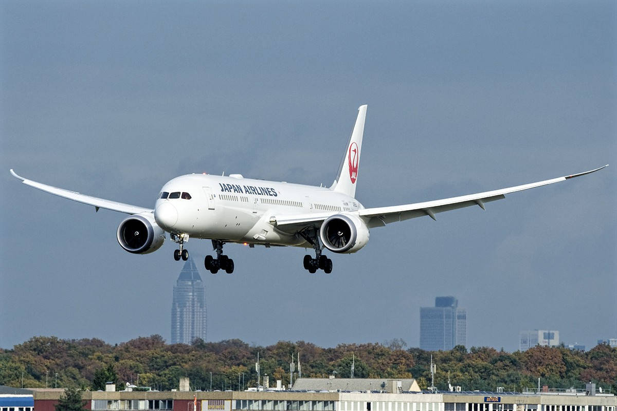 飛機 桌布 壁紙 — 日本航空的波音787在朦朧的天空下，降落到城市建築物和秋樹之間。