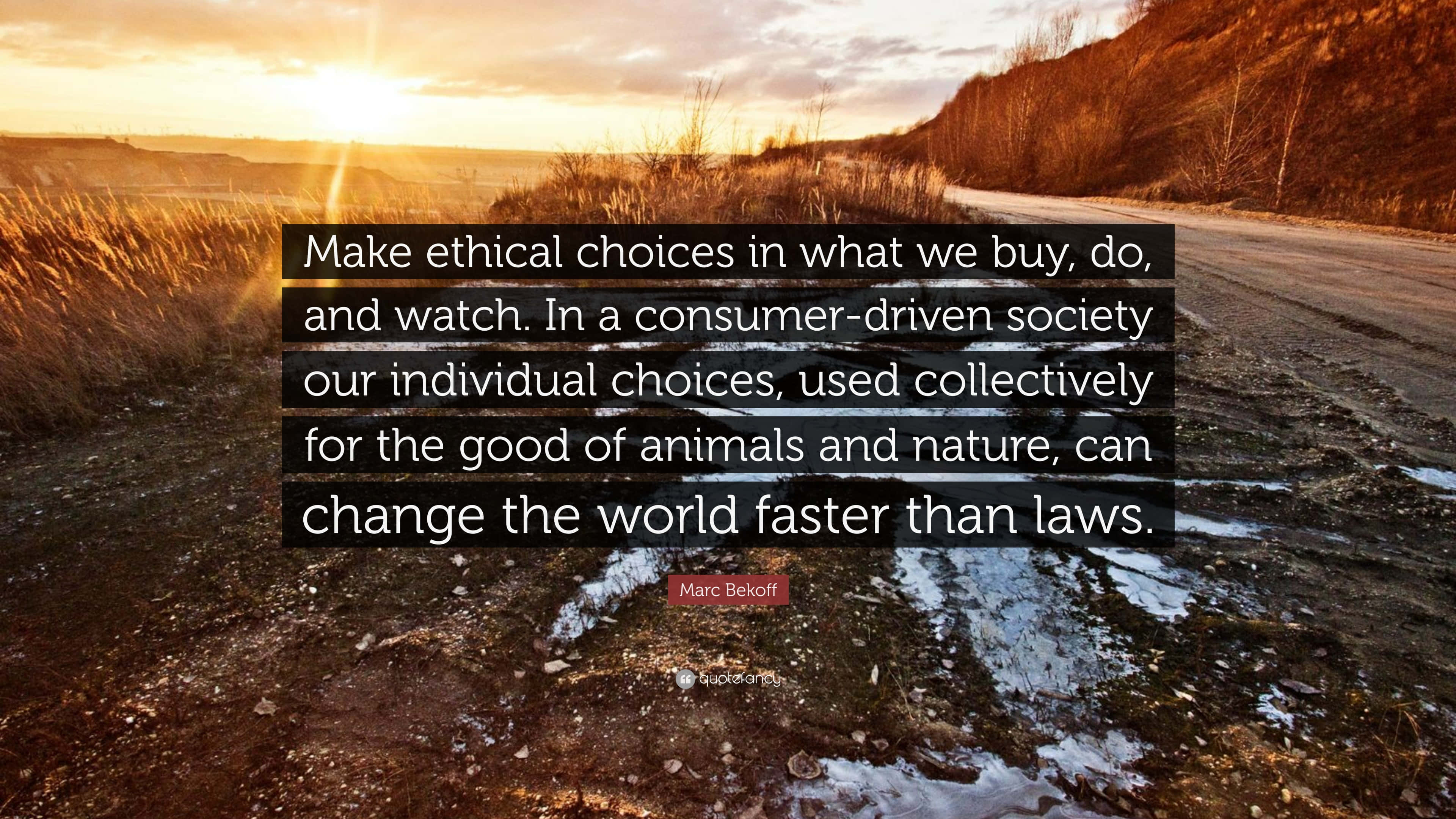 Ethical 桌布 壁紙 — 日落將金色光芒灑在一條蜿蜒的土路上，穿過乾草和山丘，並帶有引文疊加。