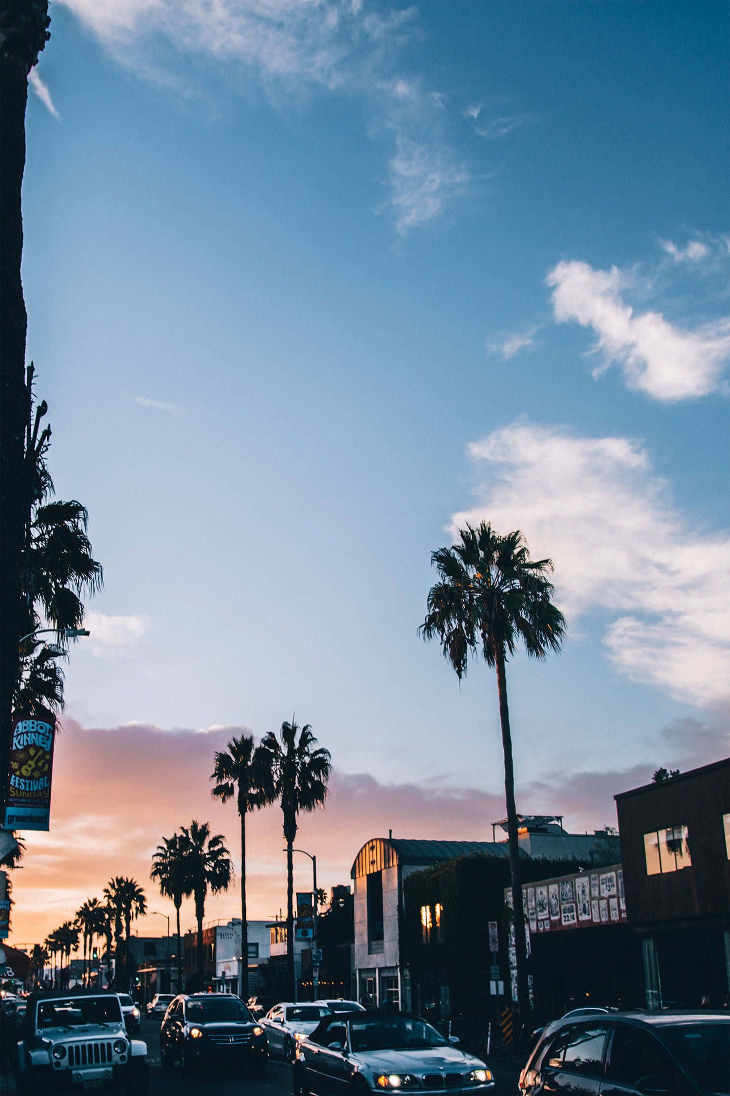 Tumblr Aesthetic 桌布 壁紙 — 日落時低角度街景，棕櫚樹在藍橙漸變的天空中形成剪影。