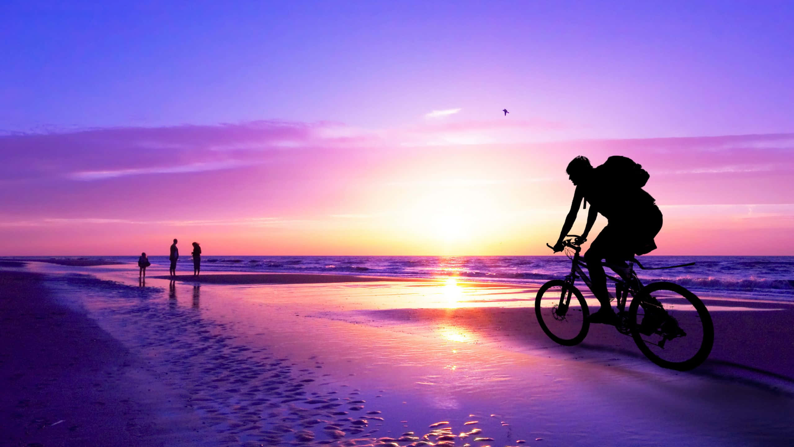 1440p Beach 桌布 壁紙 — 日落時分，一名騎自行車者在濕漉漉的海灘上騎行，天空呈現鮮豔的紫色和橙色，遠處水邊有人影。