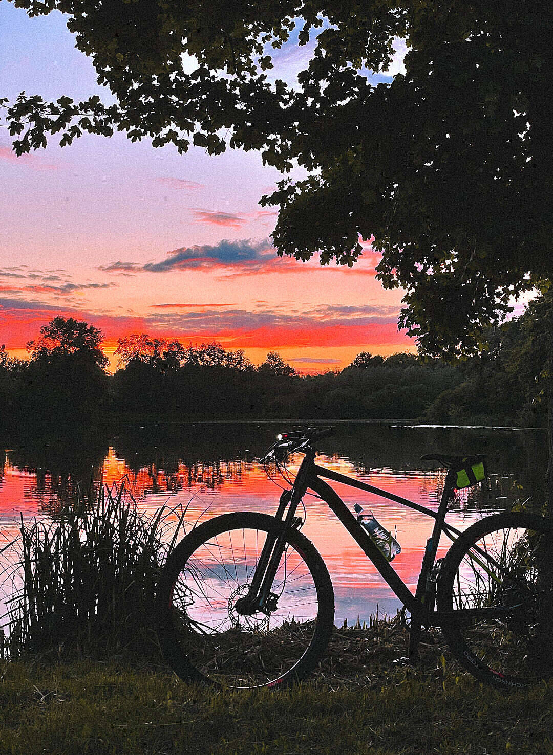 4K bike 桌布 壁紙 — 日落時分，單車剪影靜置於寧靜湖邊，樹枝框住火紅橙紫交織的天空。