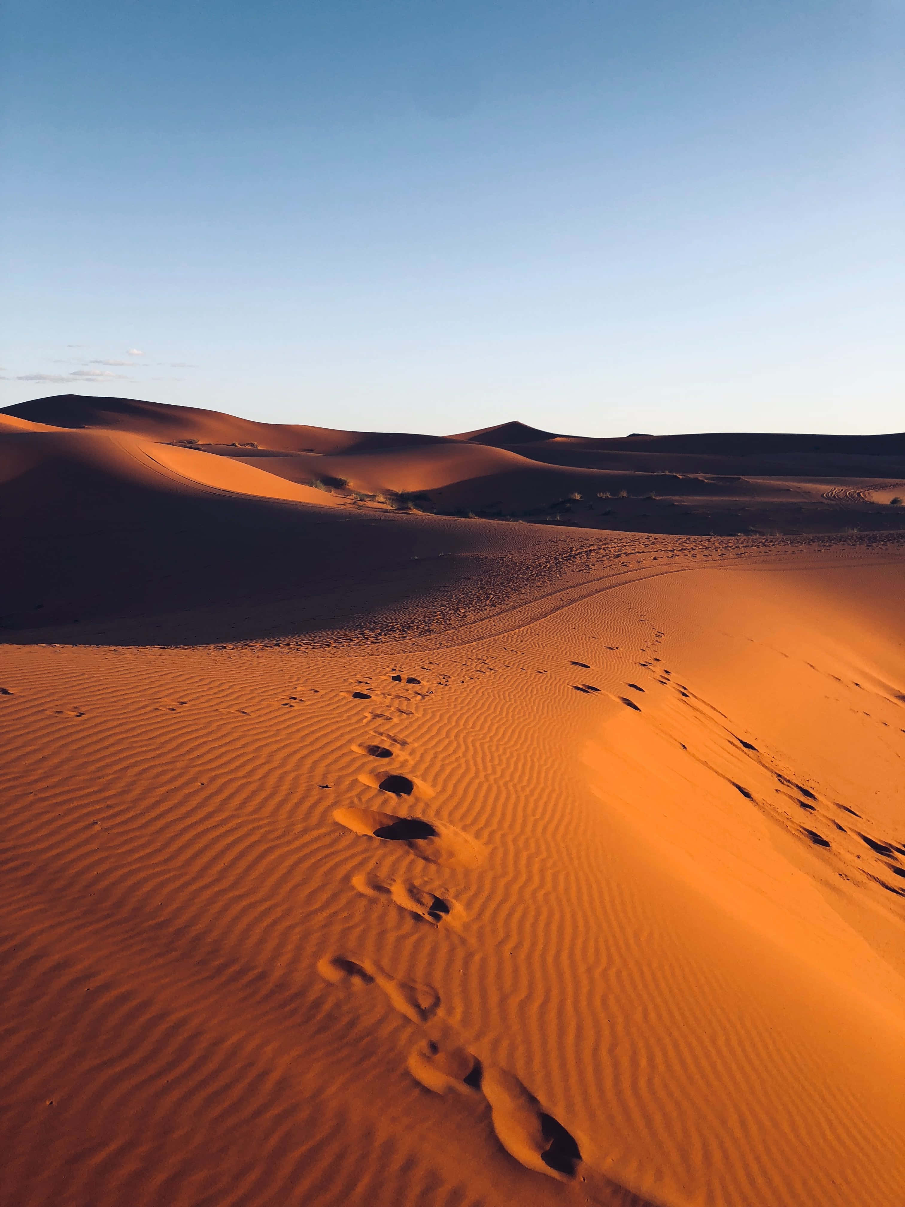 Footprints 桌布 壁紙 — 日落時分，在清澈藍天下，孤獨的腳印蜿蜒穿過金色沙漠沙丘。