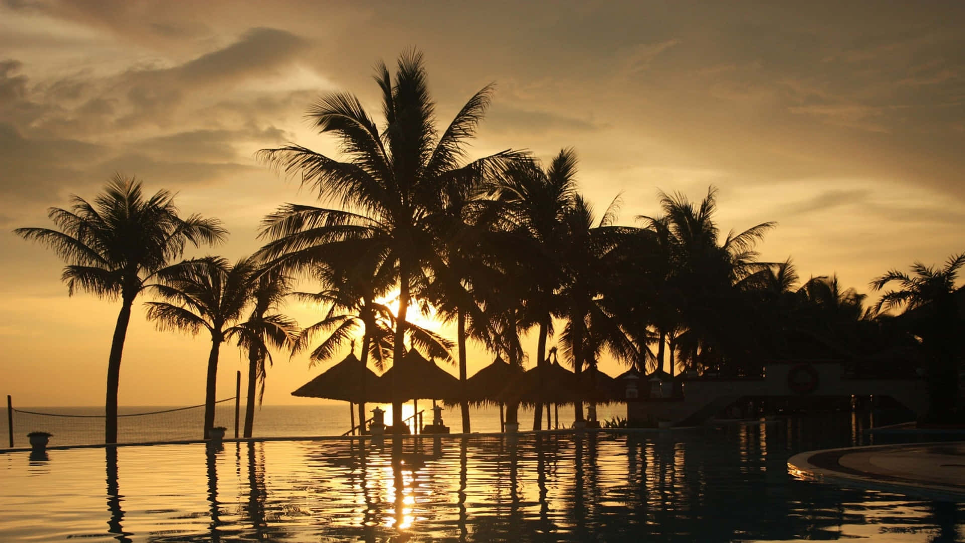 Palm 桌布 壁紙 — 日落時分，棕櫚樹和茅草傘的剪影映襯著金色天空，倒映在寧靜的無邊際泳池中。