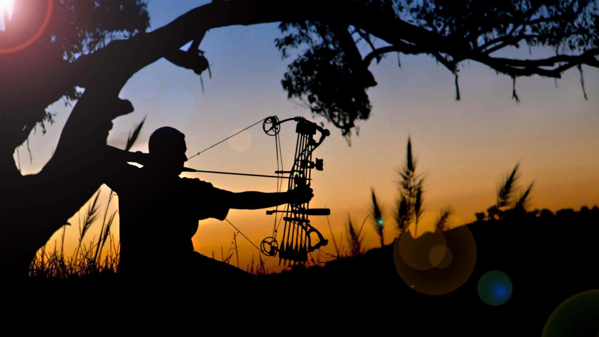 Archery 桌布 壁紙 — 日落時分，樹下一個人拉開複合弓的剪影，伴隨著溫暖的鏡頭光暈。