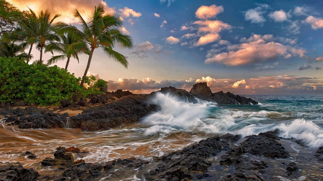 Hawaiian 桌布 壁紙 — 日落時分，海浪拍打著黑色火山岩，旁邊是茂密的棕櫚樹，天空色彩斑斕。