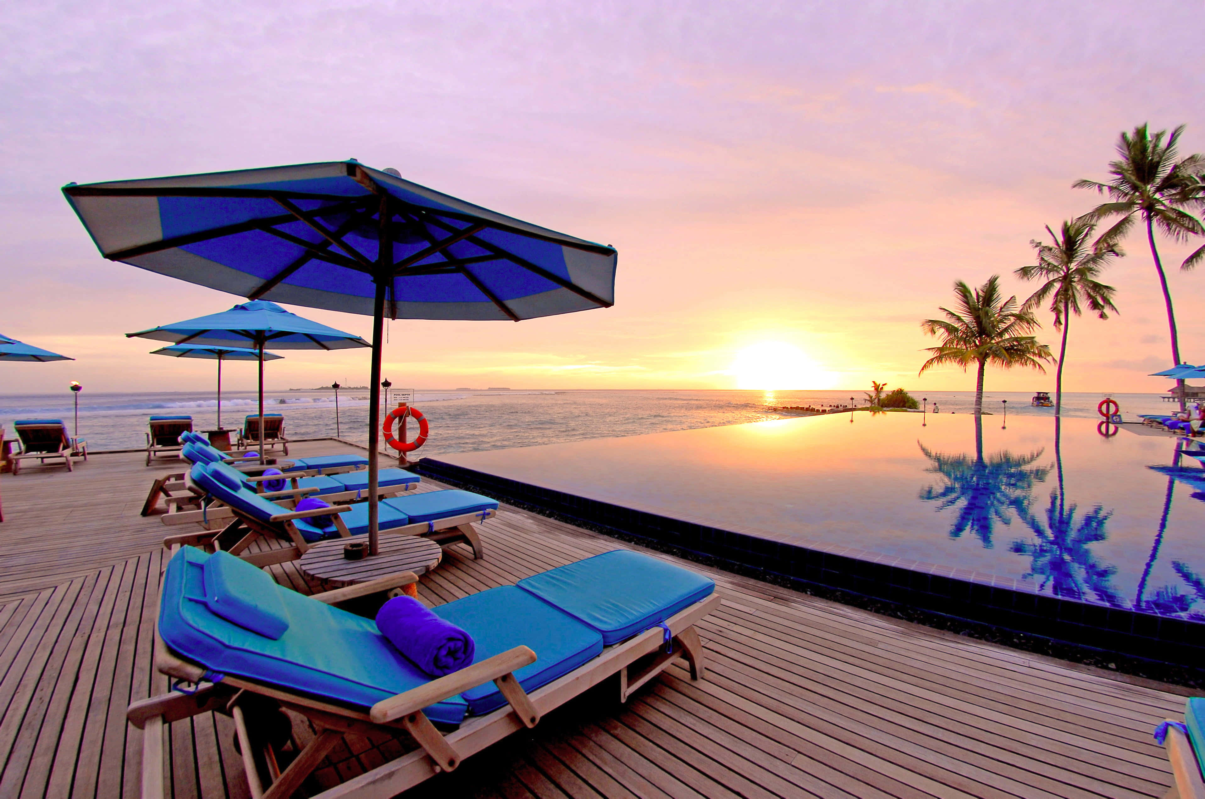 Beach Daybed 桌布 壁紙 — 日落時分，無邊際泳池映照著藍色躺椅和棕櫚樹，水面平靜。