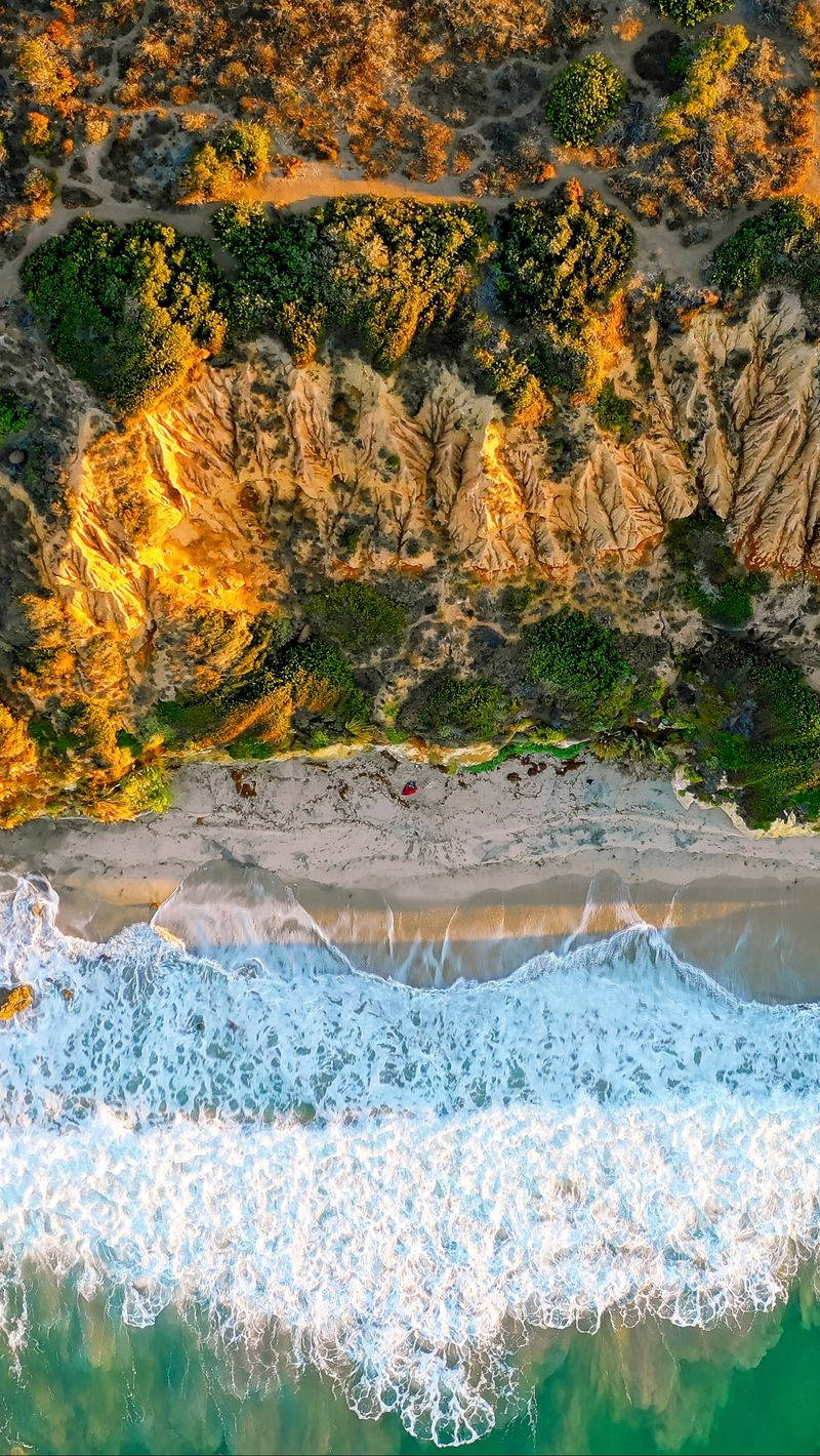 malibu iPhone 桌布 壁紙 — 日落時分，金色懸崖與碧綠海浪交匯，海岸線上綠意盎然的航拍視角。