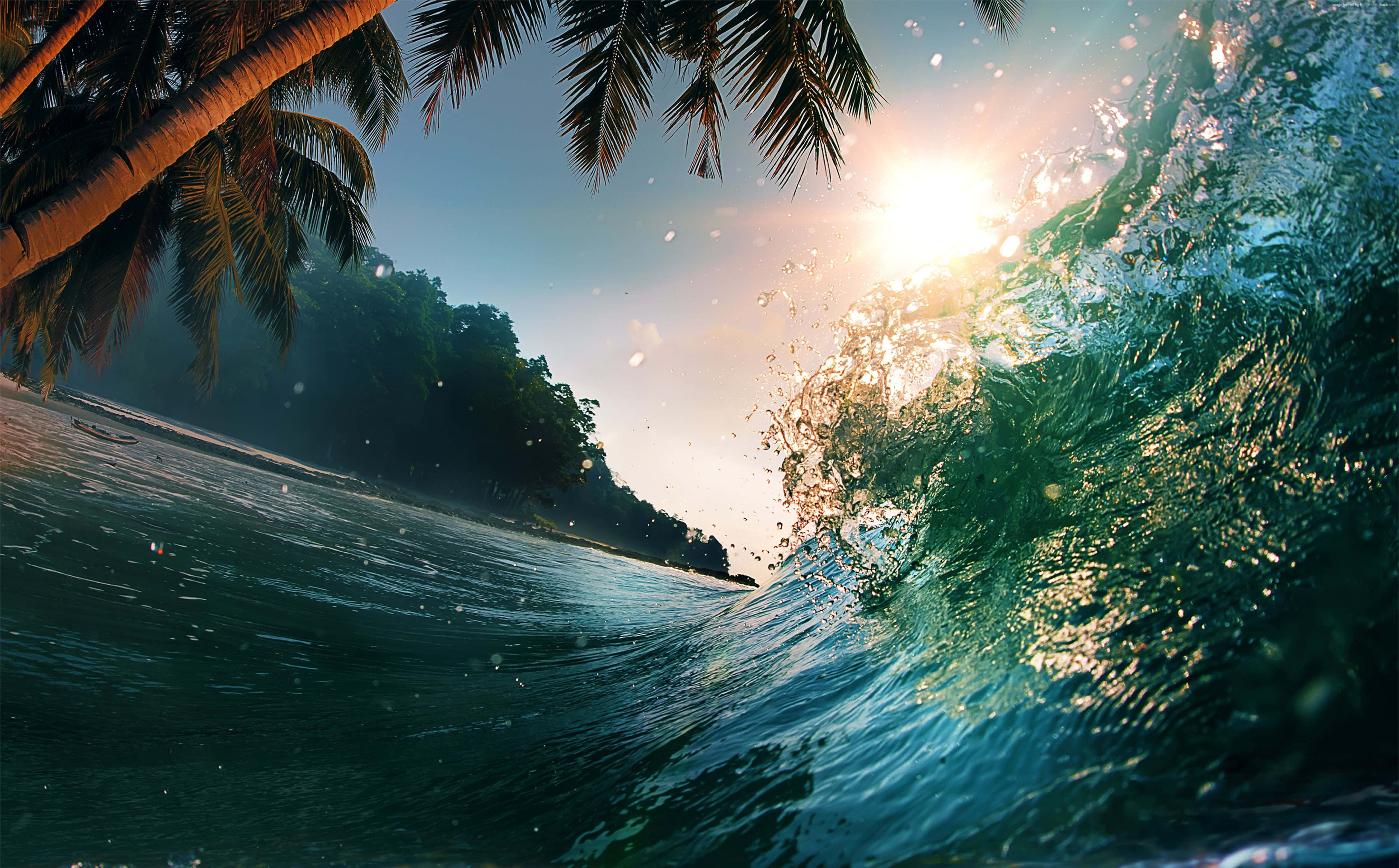 waves 桌布 壁紙 — 日落時分，陽光照耀的海浪在棕櫚樹下拍打，透過碧綠的海水投射出金色的光芒。