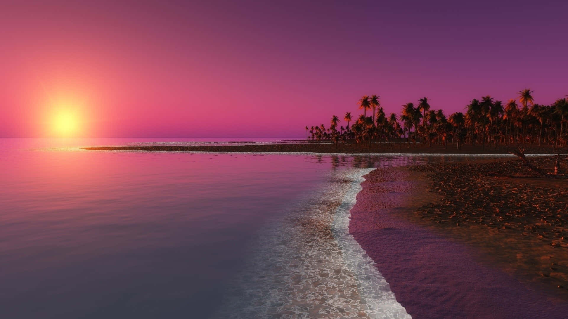 Pink Beach Sunset 桌布 壁紙 — 日落時分寧靜的熱帶海灘，棕櫚樹在充滿活力的粉紅色和紫色天空襯托下形成剪影。