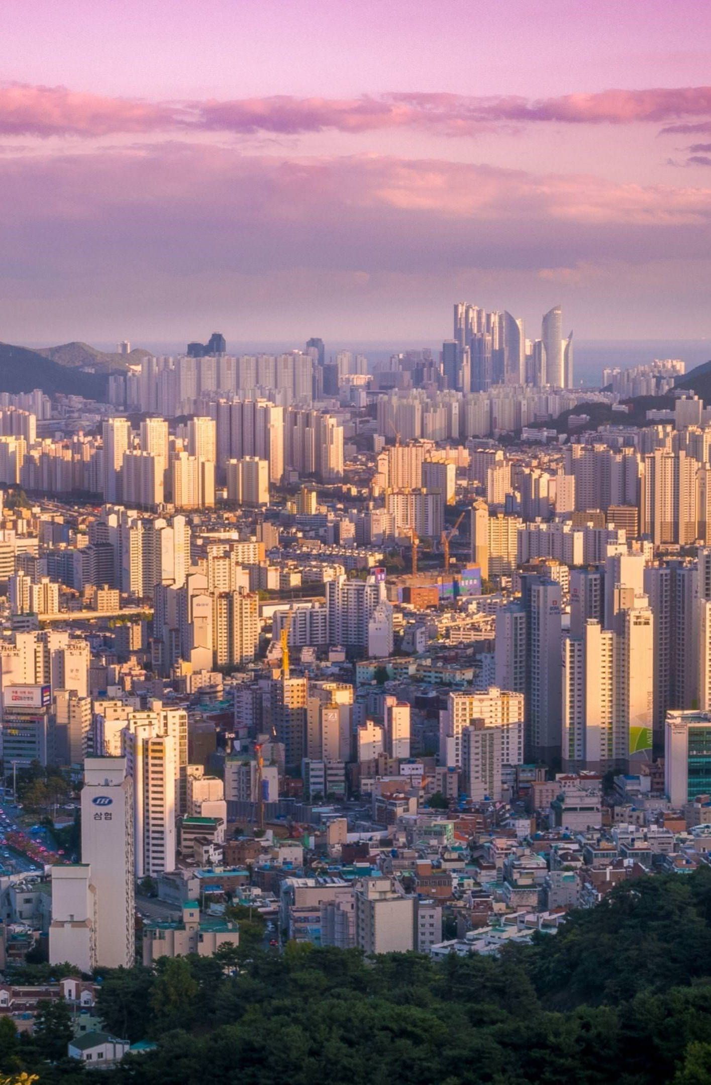 Busan 桌布 壁紙 — 日落時分廣闊的城市景觀，粉紅色的雲朵籠罩著密集的高層建築，前景是綠色的山丘。