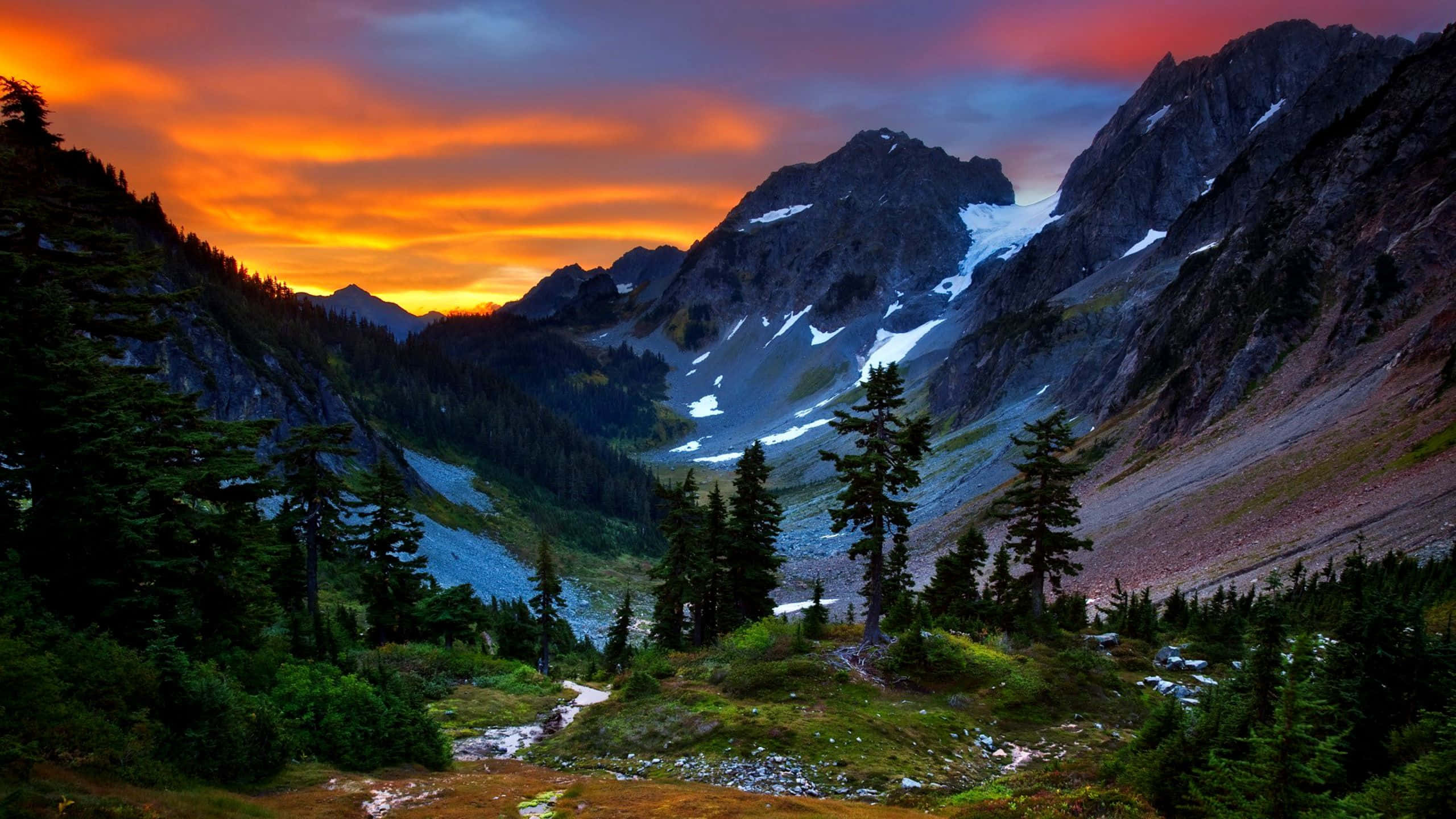 Mountain Scenes 桌布 壁紙 — 日落時分戲劇性的山谷，火紅橙色的雲彩籠罩著積雪的山峰和常青樹。