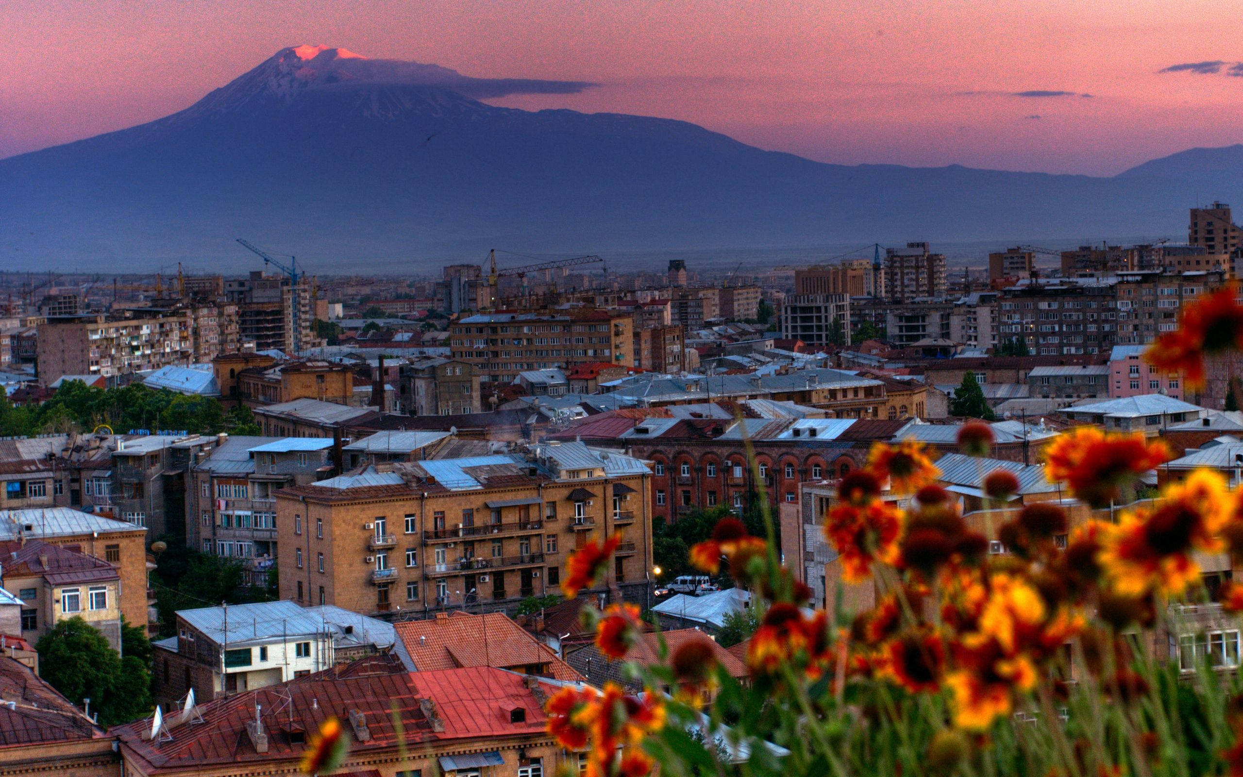 Armenia 桌布 壁紙 — 日落時分的城市景觀，背後有白雪覆蓋的山峰，前景是鮮豔的橙色花朵。