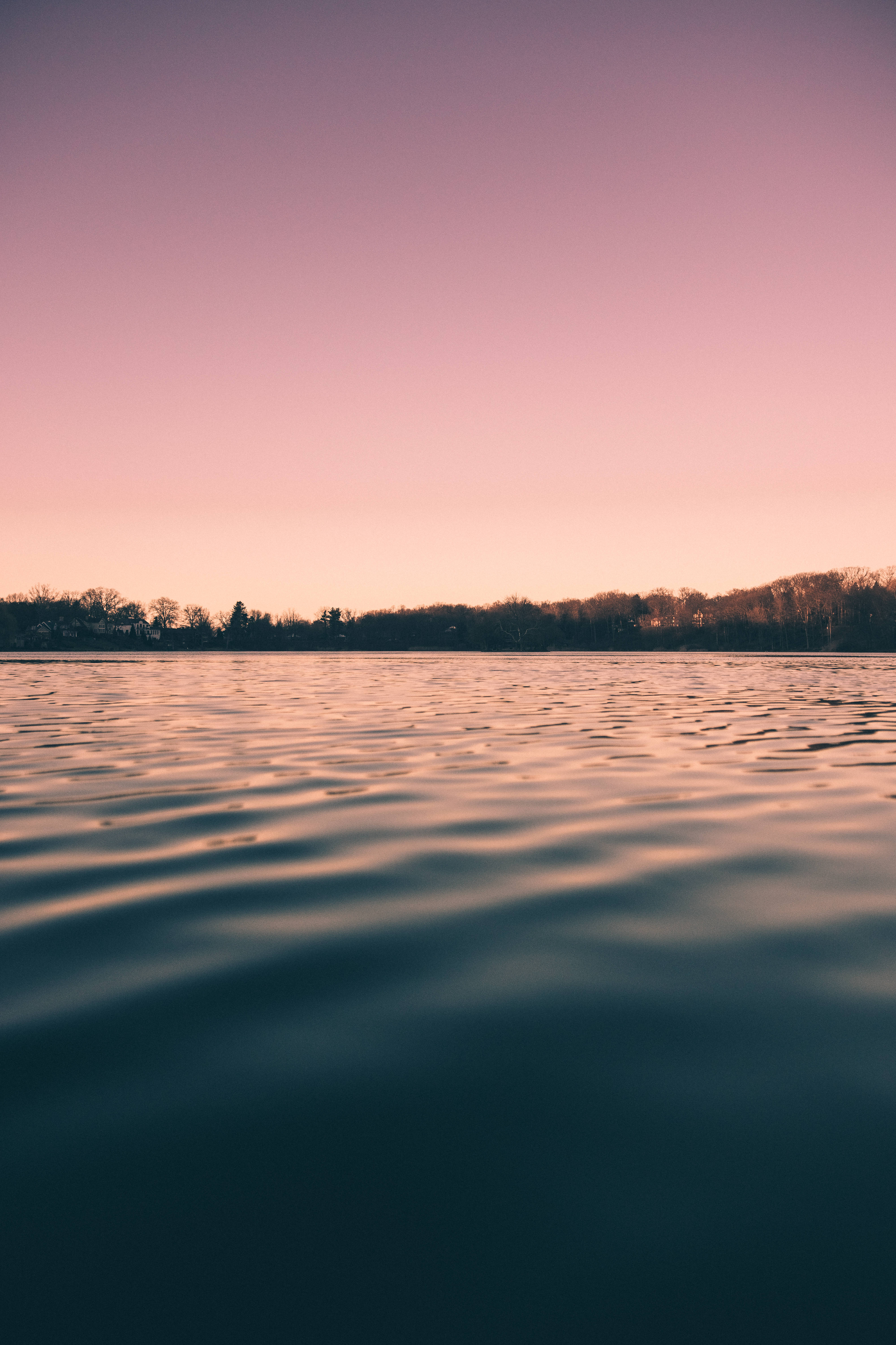 Lake 桌布 壁紙 — 日落時分的寧靜湖泊，柔和的粉紅色和紫色色調映照在平靜的水面和遠處的樹線上。