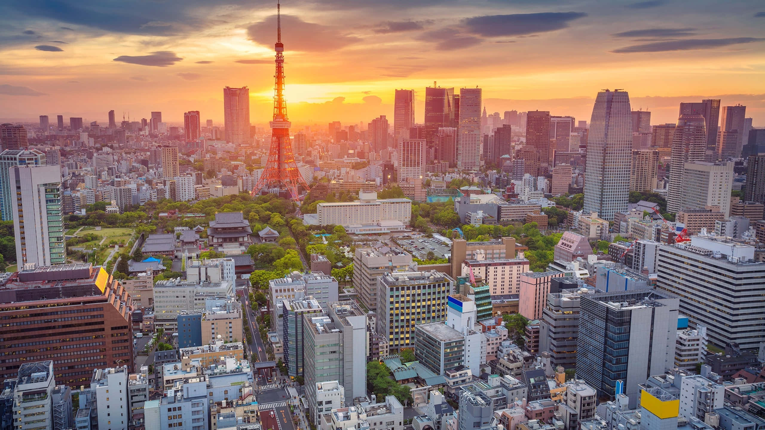 Harajuku 桌布 壁紙 — 日落時分的東京天際線，東京鐵塔在橙色雲層和密集的城市建築中閃爍琥珀色光芒。