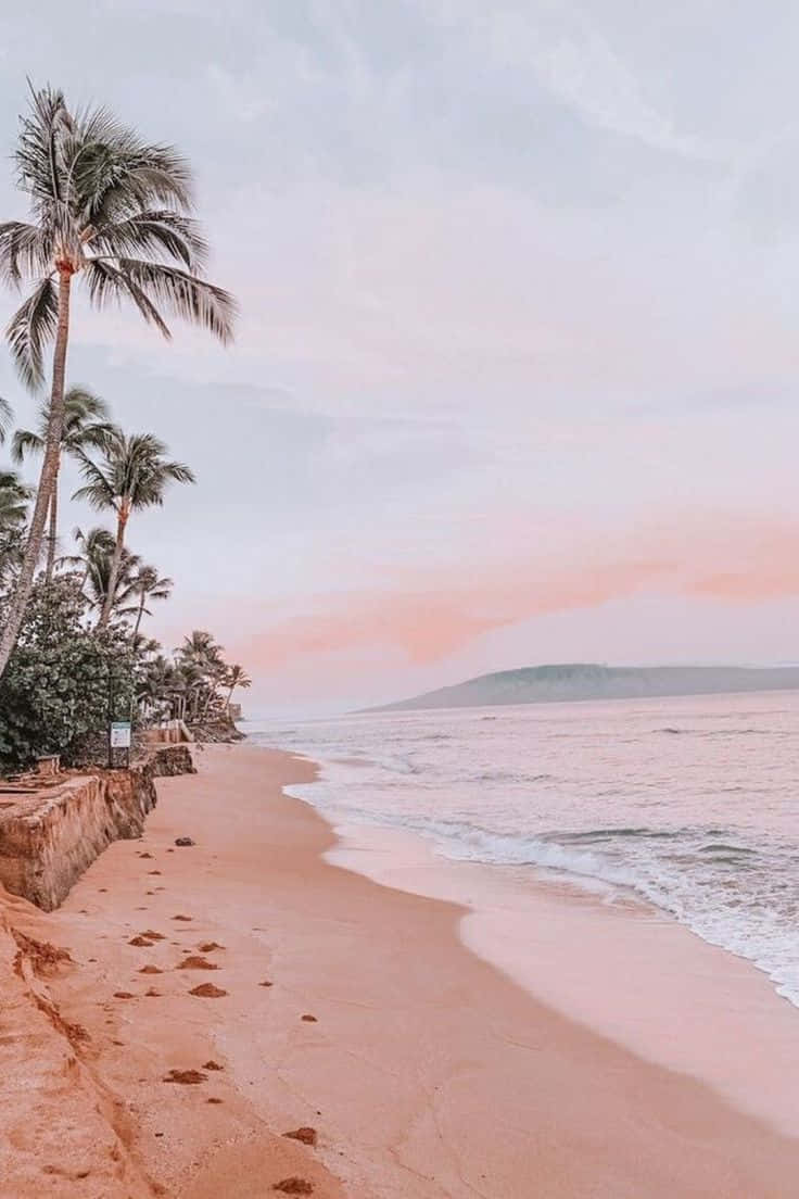 Beach Aesthetic 桌布 壁紙 — 日落時分粉紅色調的海灘，棕櫚樹在柔和波浪和遠山旁搖曳，天空呈現柔和粉彩。