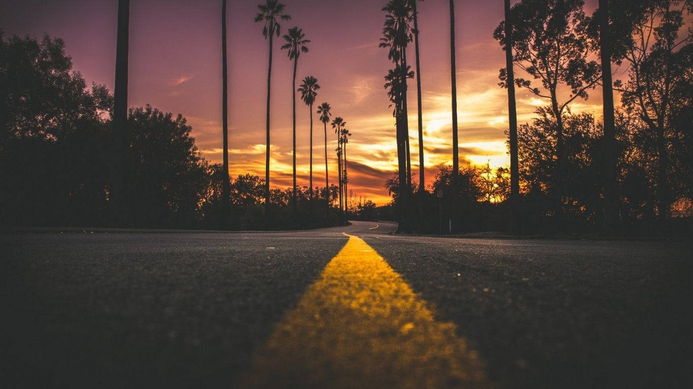 螢光黃 桌布 壁紙 — 日落時分蜿蜒的道路，兩旁是高聳的棕櫚樹，發光的黃色中心線通向地平線。