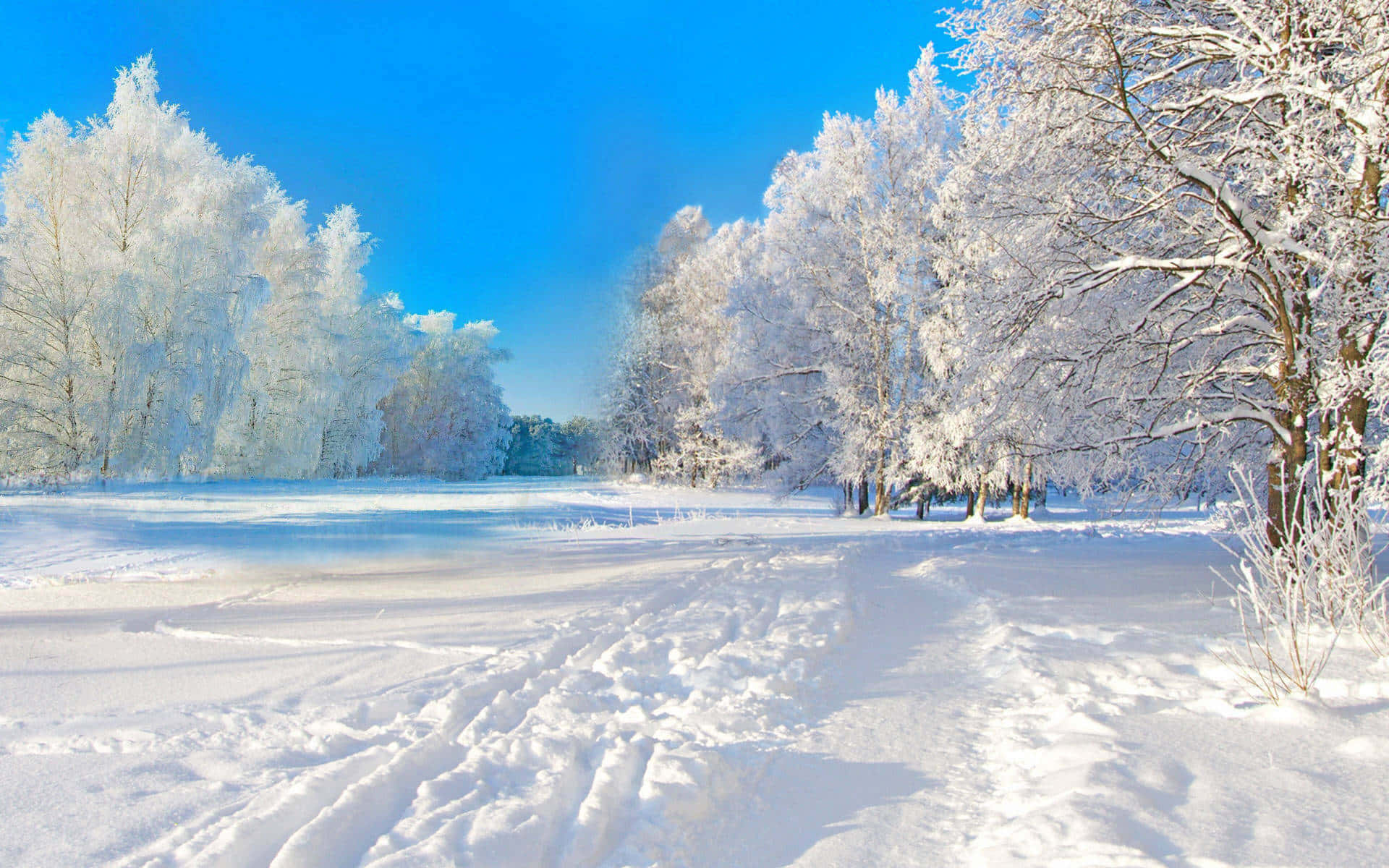  壁紙 — 明亮的冬日場景，白雪覆蓋的樹木在清澈的藍天下，新鮮雪地上有腳印。
