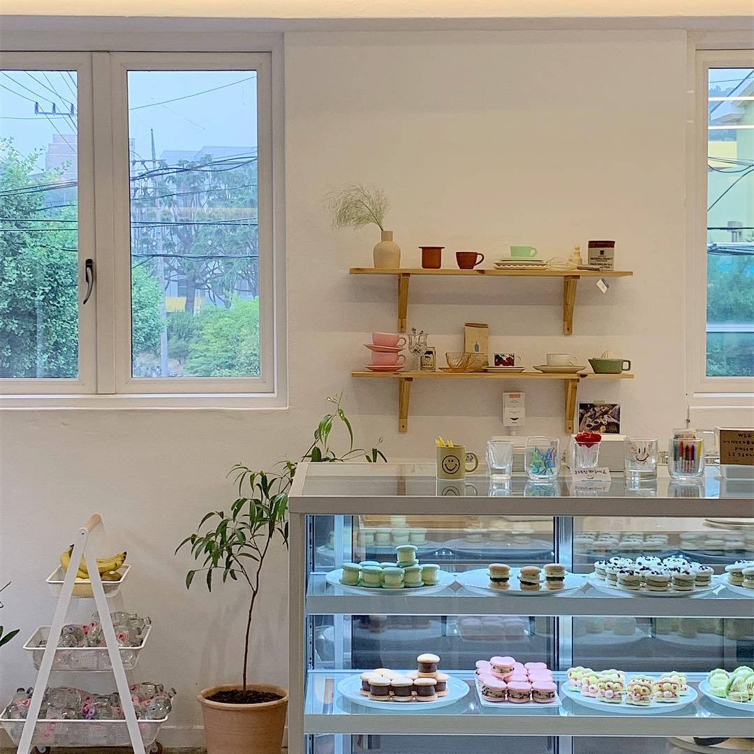 pastel 桌布 壁紙 — 明亮的咖啡館內部，玻璃陳列櫃中展示著粉彩馬卡龍，木架上擺放著彩色杯子和植物。