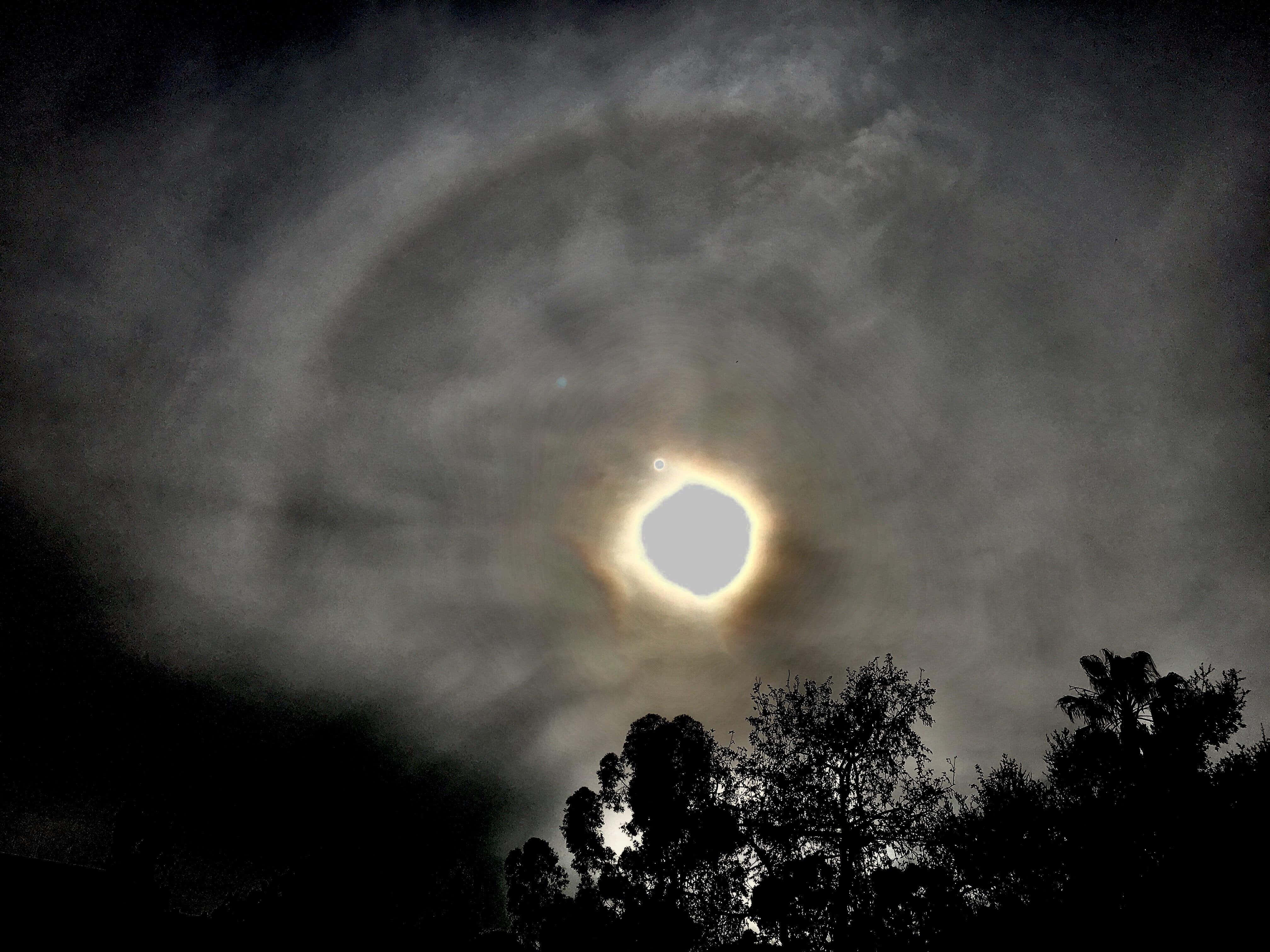 Black Hole Sun 桌布 壁紙 — 明亮的太陽光暈穿過旋轉的雲層，在夜晚黑暗的樹木剪影上方發光。