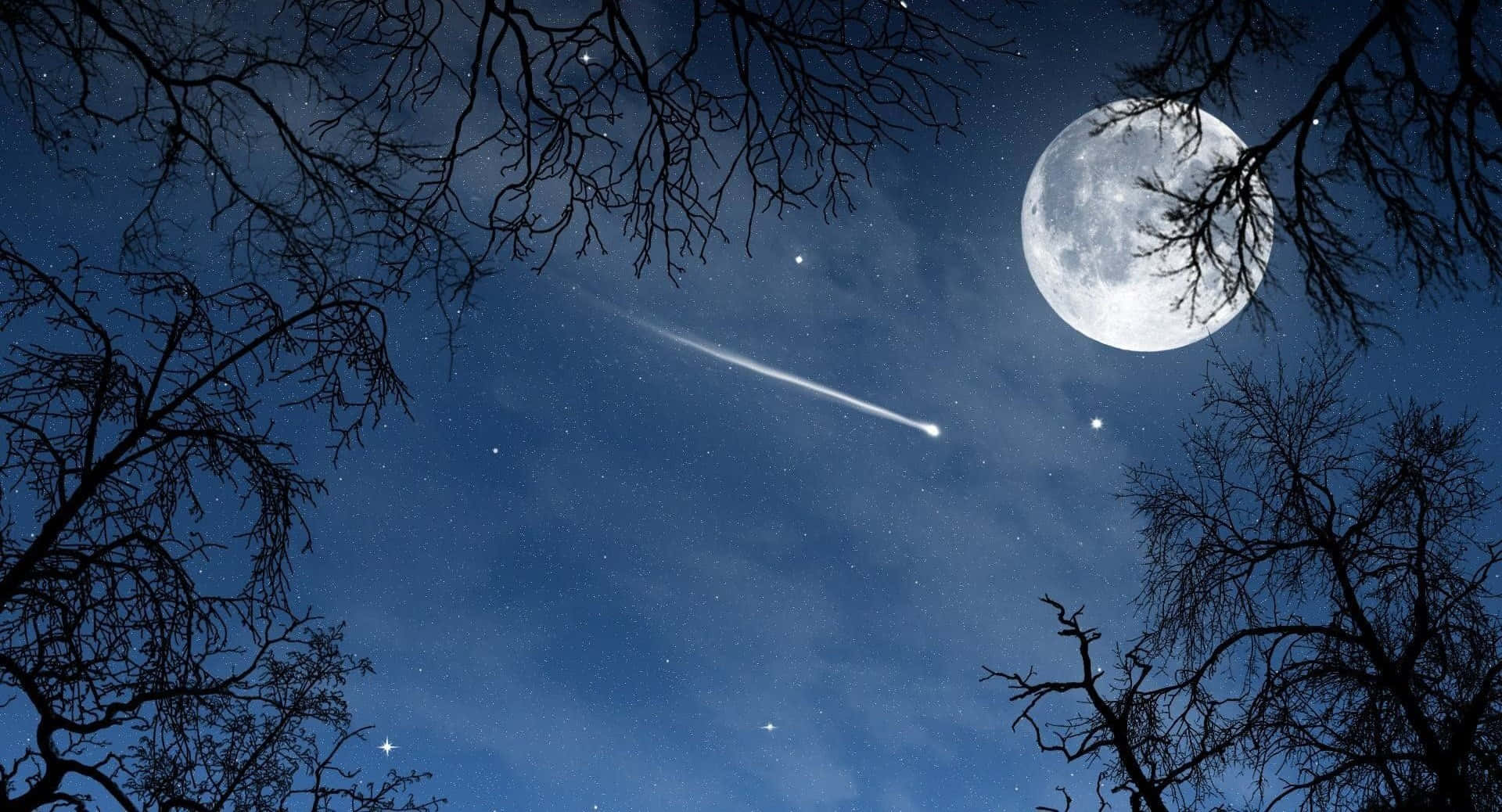 Pretty Moon 桌布 壁紙 — 明亮的月亮和流星劃過佈滿星星的夜空，以光禿的樹枝為框。
