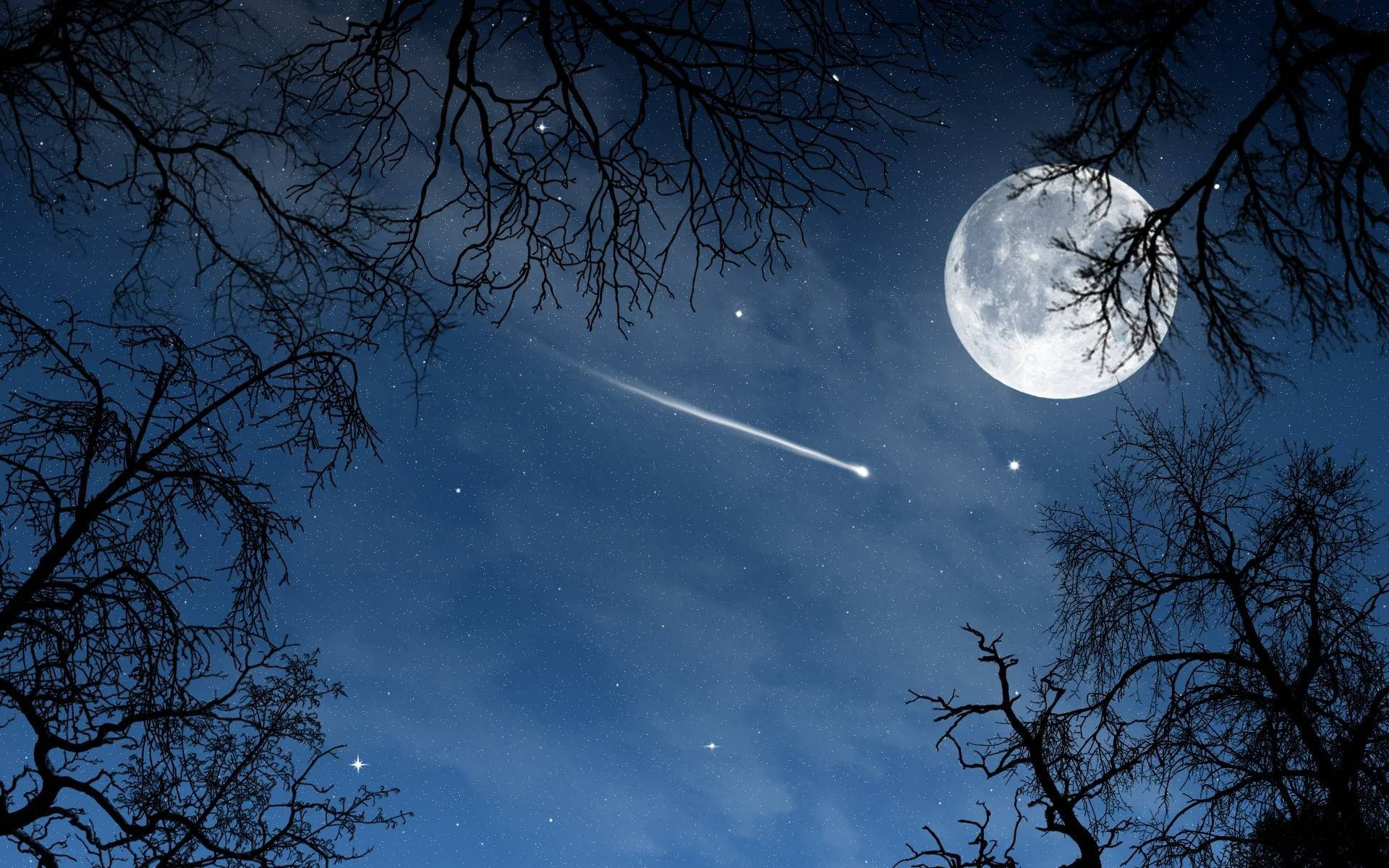 月亮與星星 桌布 壁紙 — 明亮的月亮和流星劃過星空夜空，以光禿的樹枝為框。