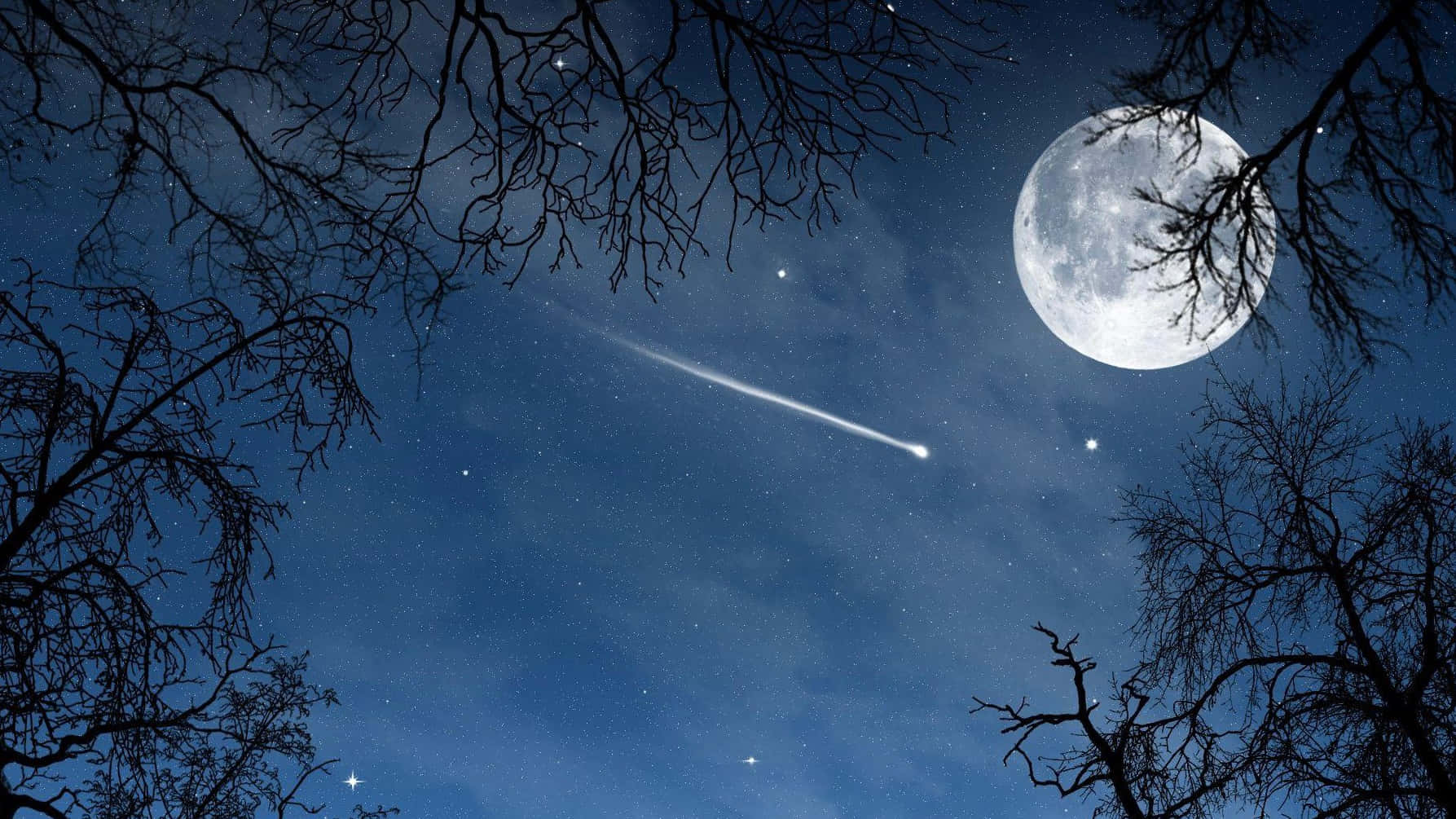 Starry 桌布 壁紙 — 明亮的月亮和流星劃過被光禿樹枝框住的星空夜空。