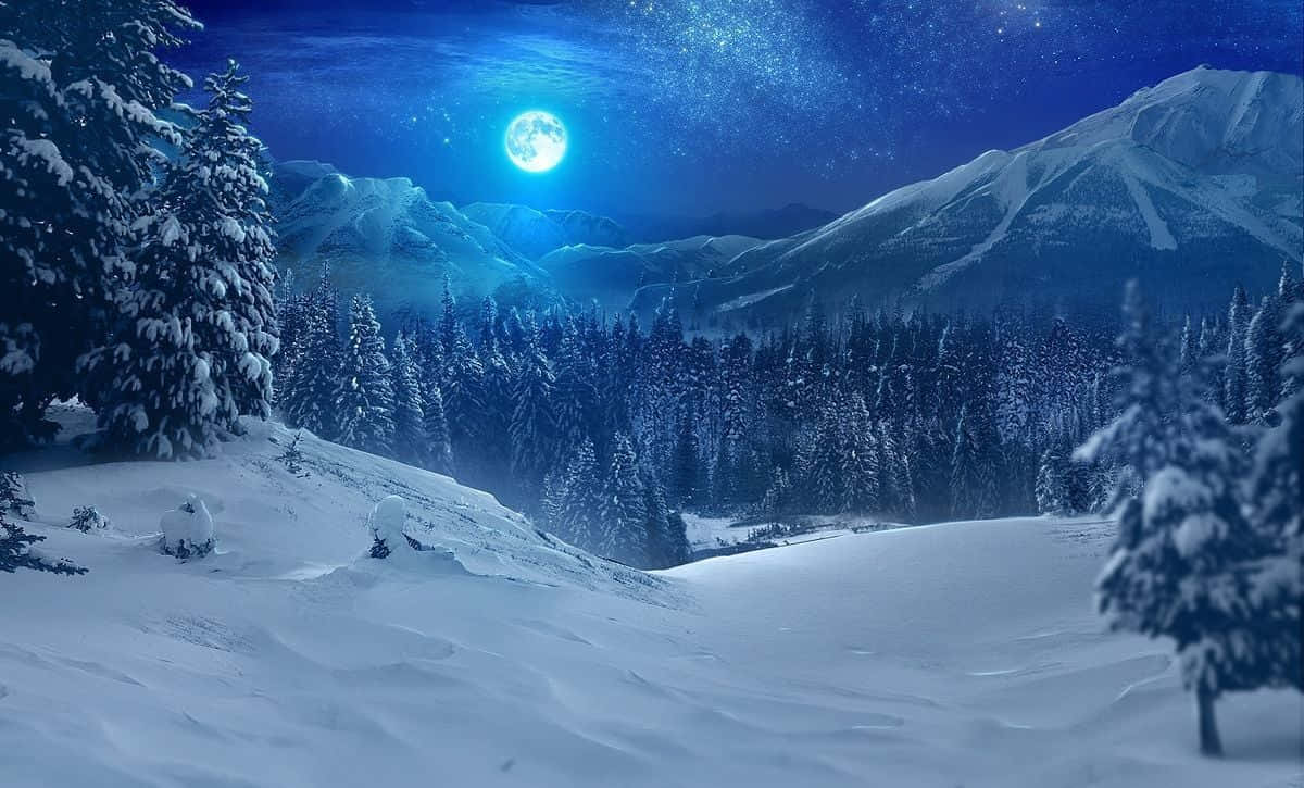 full moon 桌布 壁紙 — 明亮的滿月下，星空和白雪覆蓋的松樹環繞的雪山山谷。