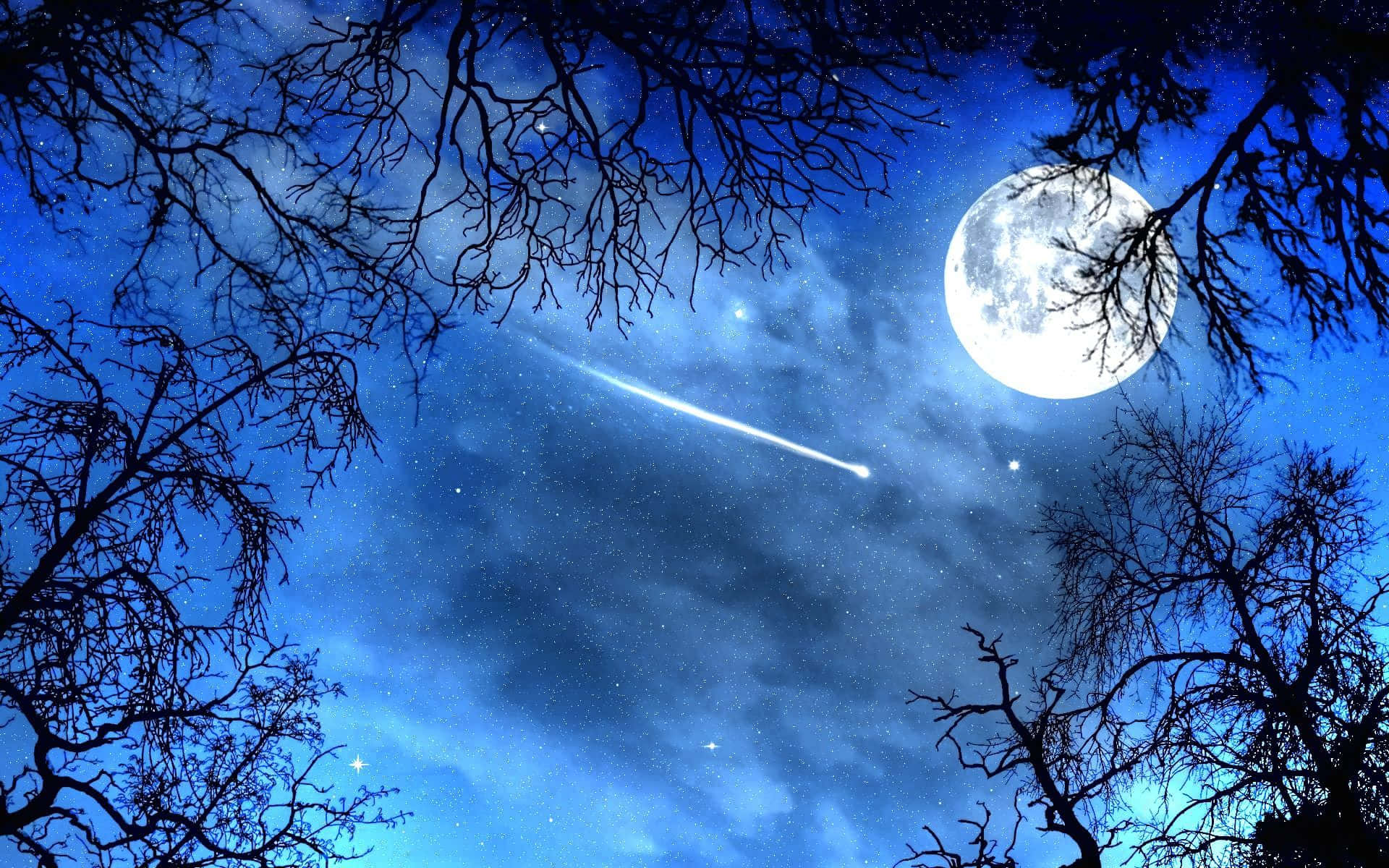 月亮與星星 桌布 壁紙 — 明亮的滿月和劃過的流星照亮了由光禿樹枝框住的星空夜空。